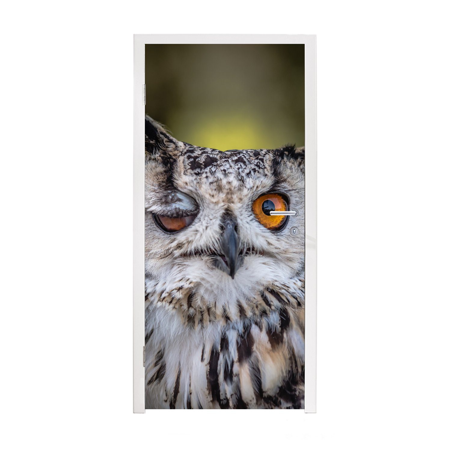 MuchoWow Türtapete Eule - Auge - Orange, Matt, bedruckt, (1 St), Fototapete für Tür, Türaufkleber, 75x205 cm