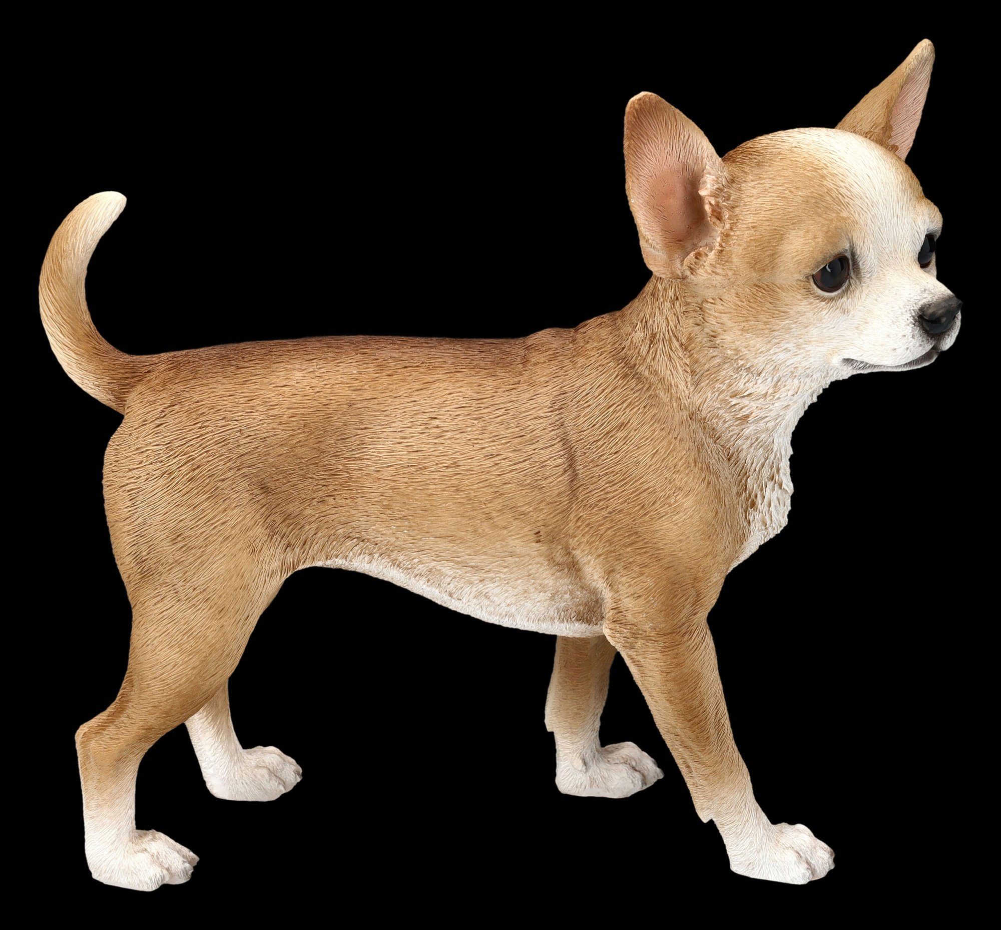 - Figuren Tierdeko Chihuahua Hunde GmbH Tierfigur Figur Dekofigur Shop