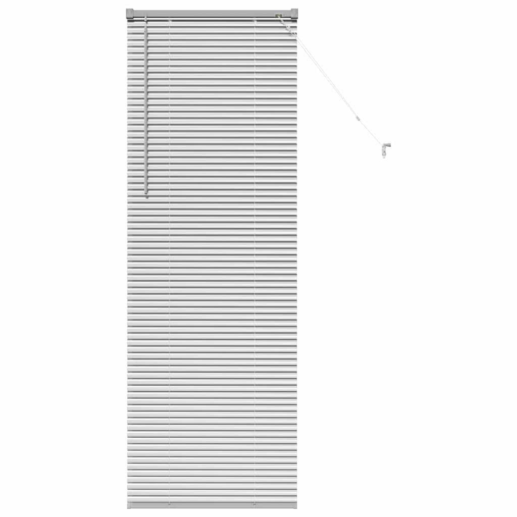 Rollo Fensterjalousie mit Vorhängen Silber Aluminium, günstig online kaufen