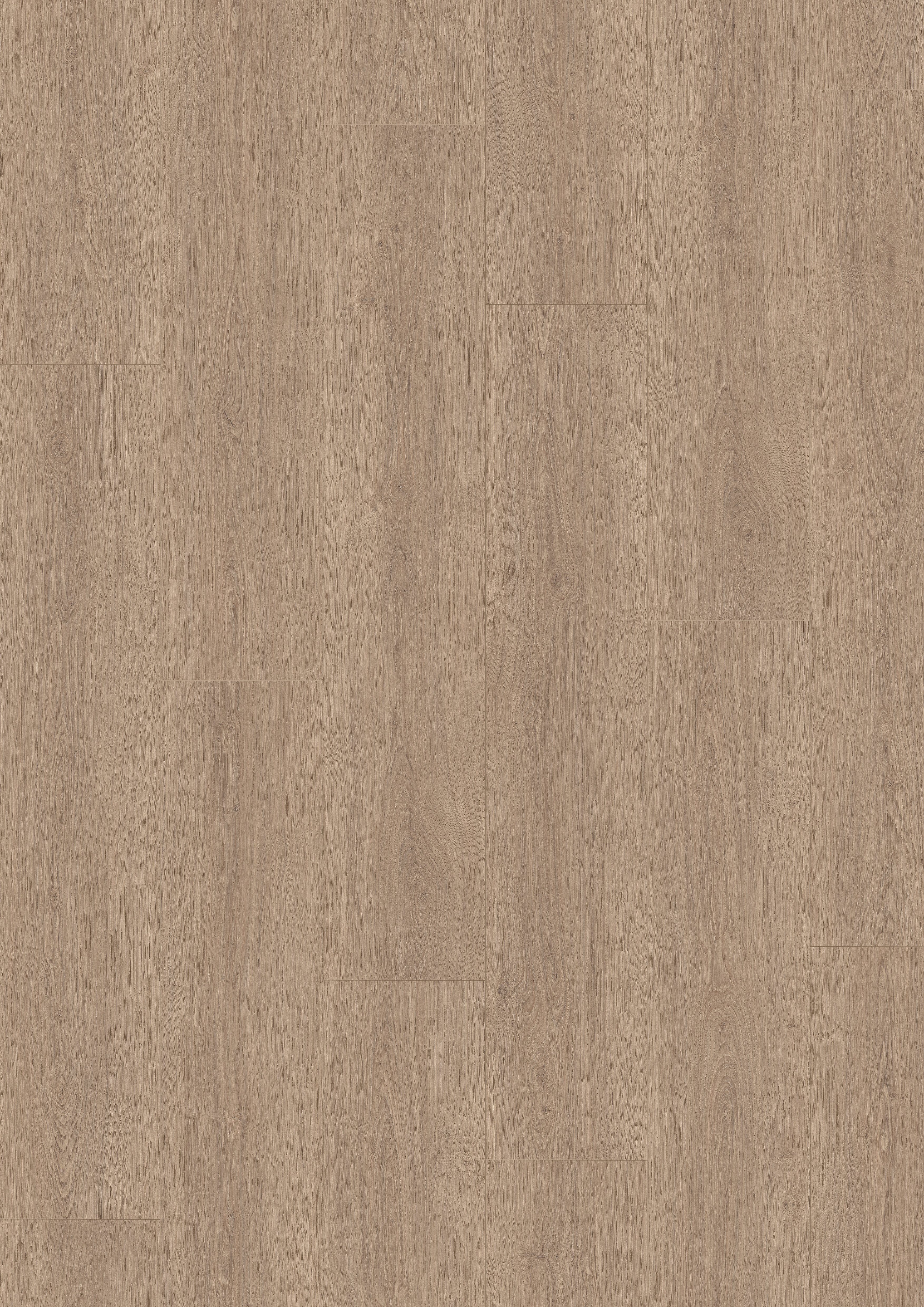 EGGER Laminat EL1011 Victoria Eiche braun, (8mm, 2,542qm),Wasserresistent & Praktisch