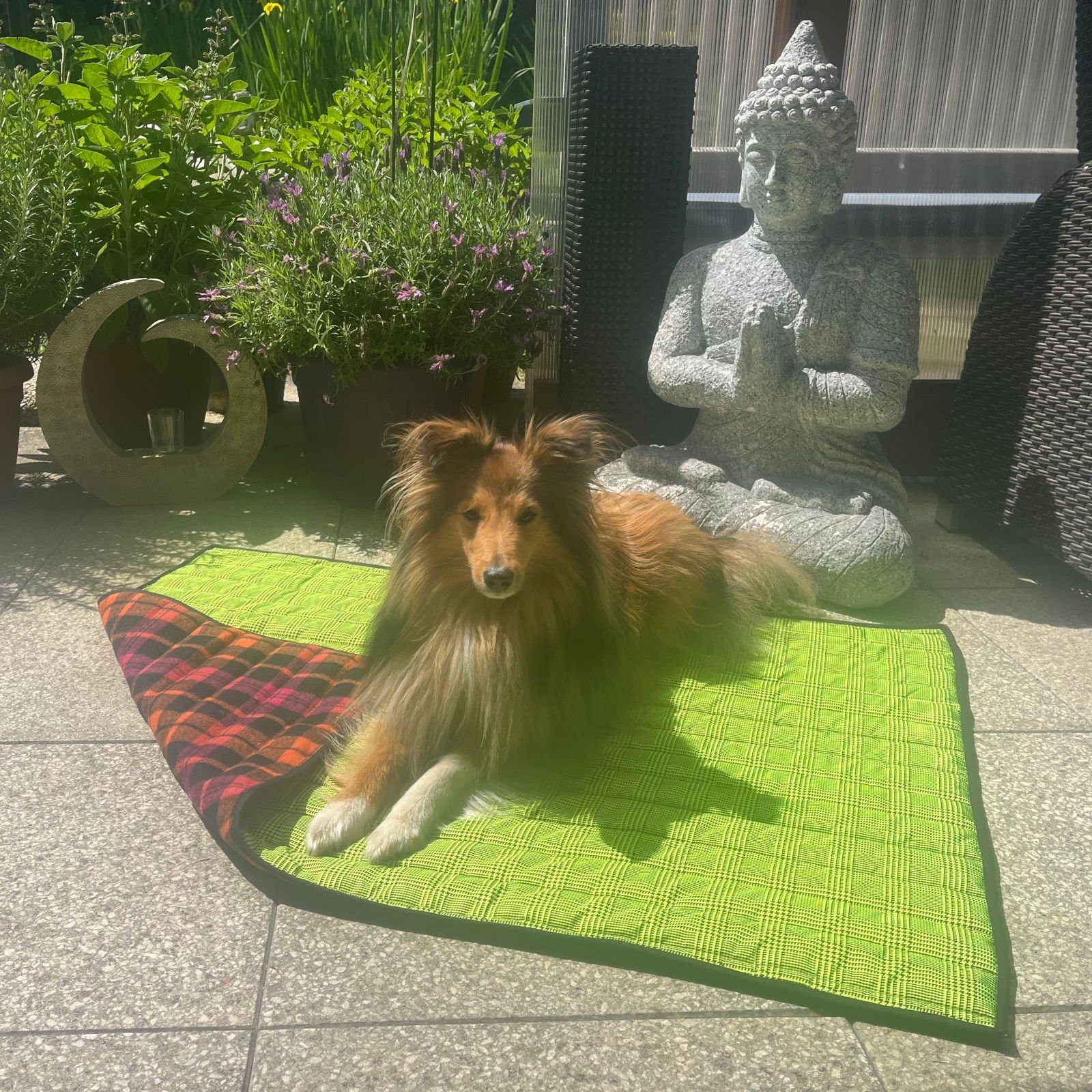 Fashion Dog Tierdecke Double-Face Hundedecke, 100 x 70 cm, Yellow Tartan