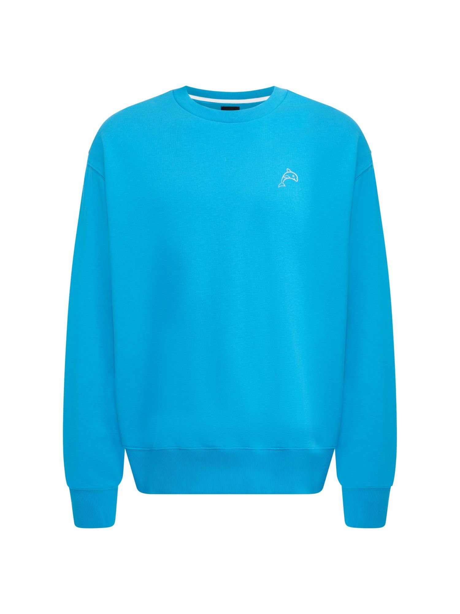 Esprit Sweatshirt Color Dolphin Sweatshirt (1-tlg) TURQUOISE