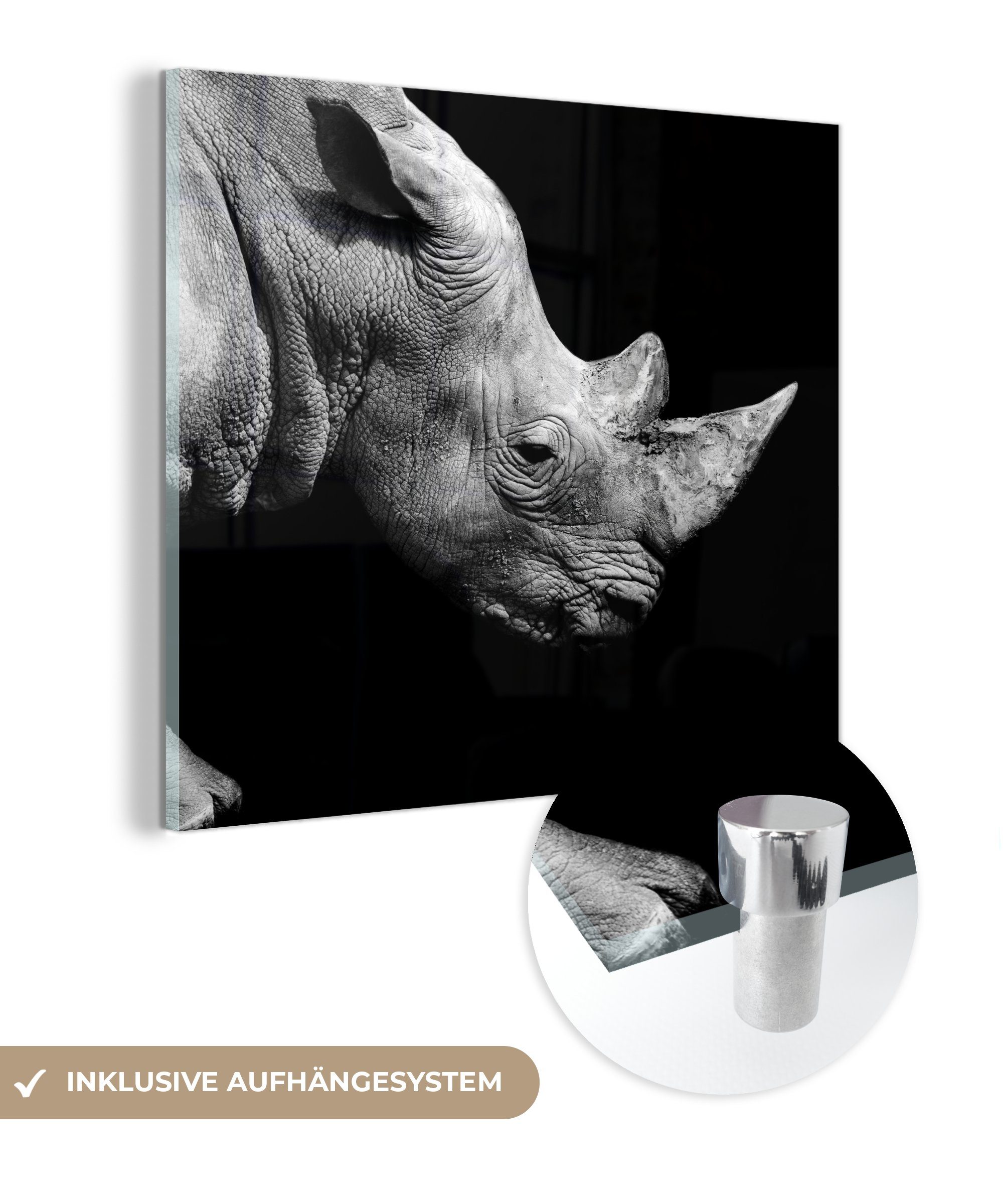MuchoWow Acrylglasbild Portrait Nashorn auf schwarzem Hintergrund, (1 St), Glasbilder - Bilder auf Glas Wandbild - Foto auf Glas - Wanddekoration | Bilder