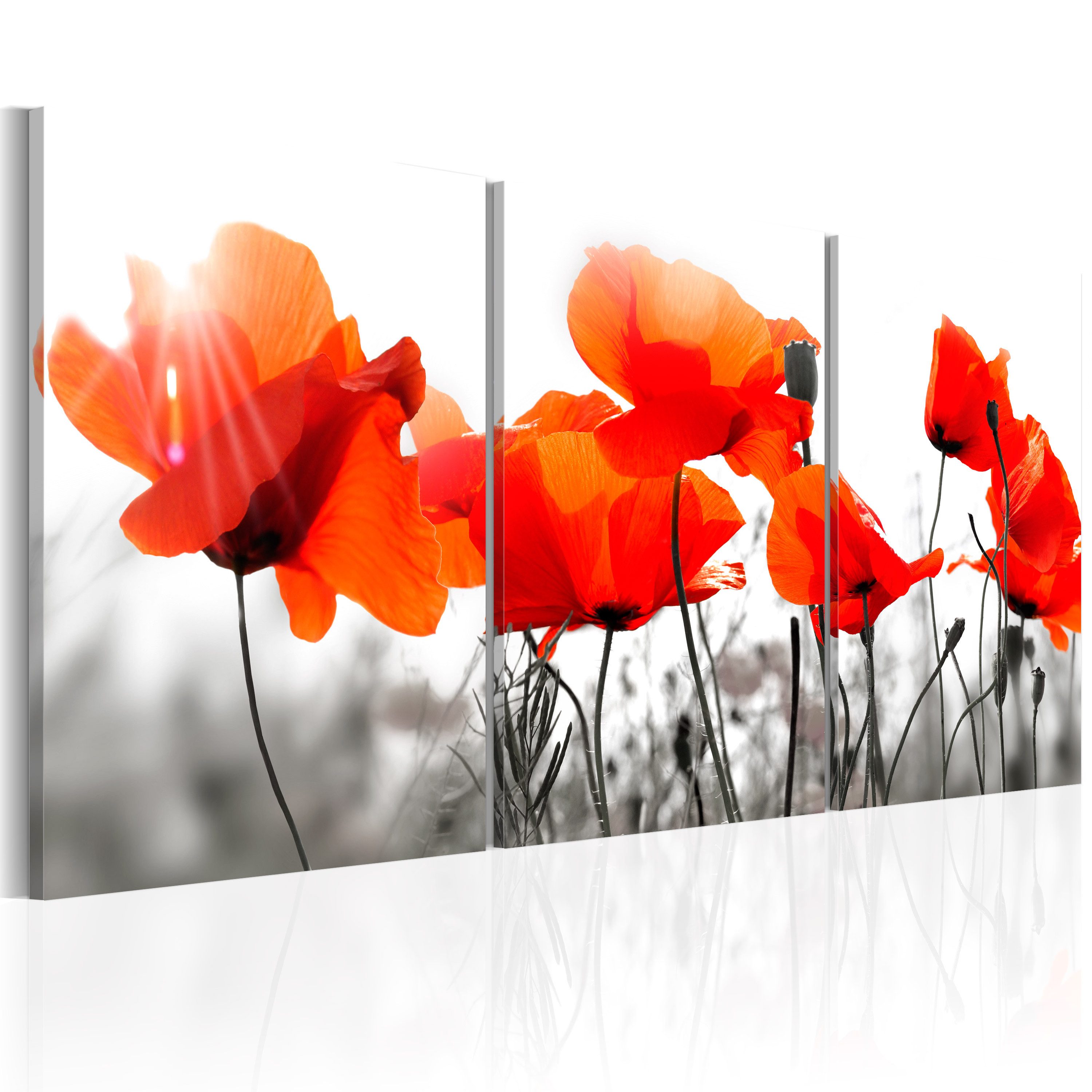 Basera® Wandbild Leinwandbild b-B-0160-b-e