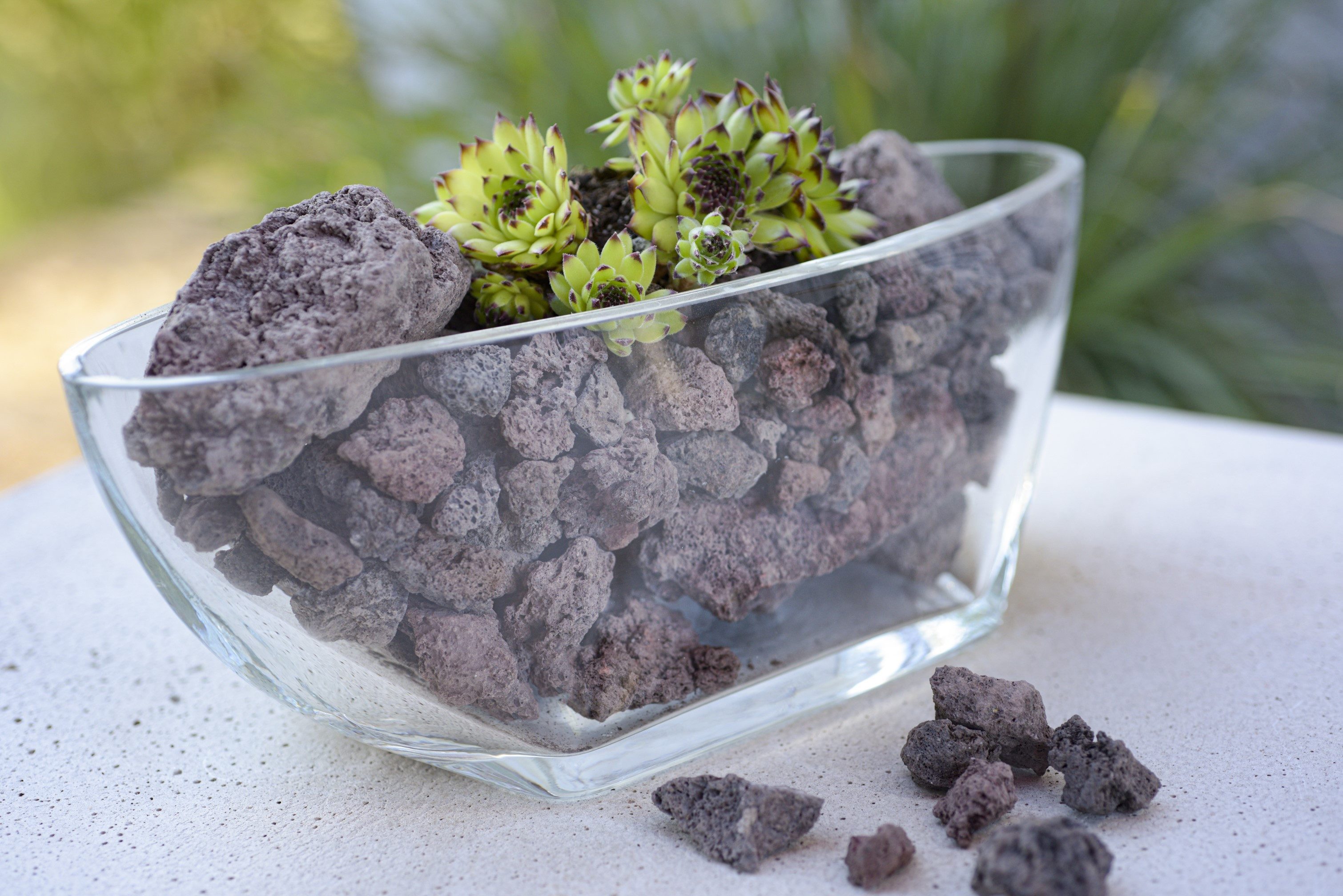 Eurosand Lavasteine Natursteine Vulcanos 16-32 mm 1 Liter Natur