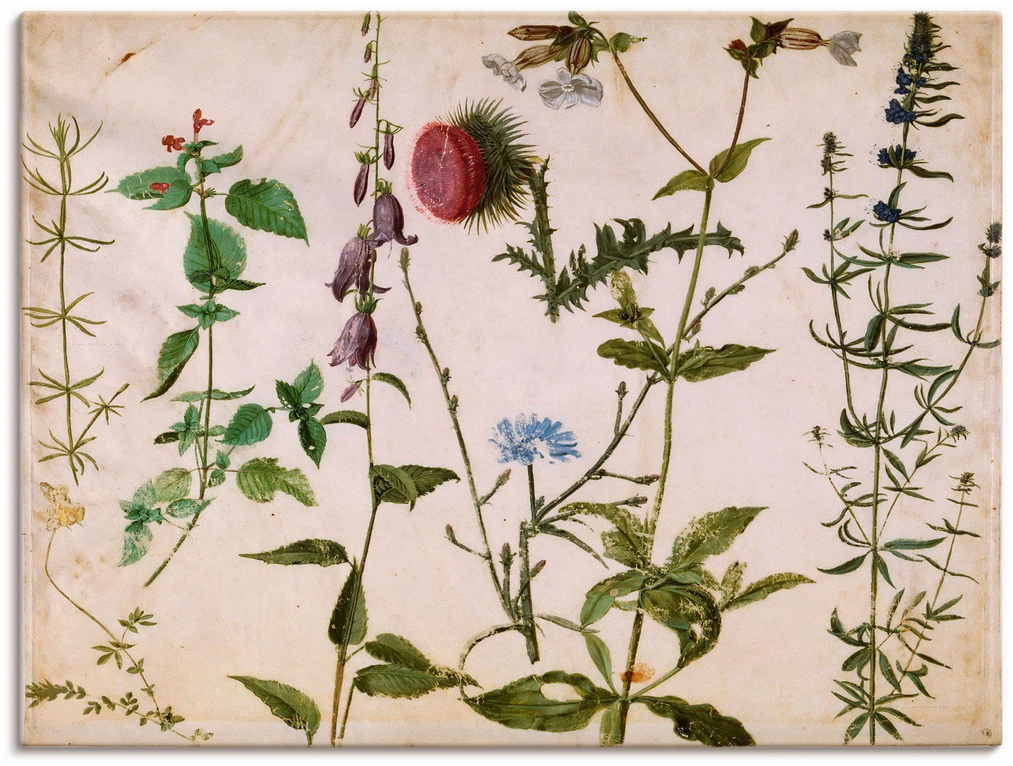 Artland Wandbild Acht Skizzen Blumenbilder Leinwandbild, Wandaufkleber St), versch. als Wildblumen., von Alubild, in Größen Poster (1 oder