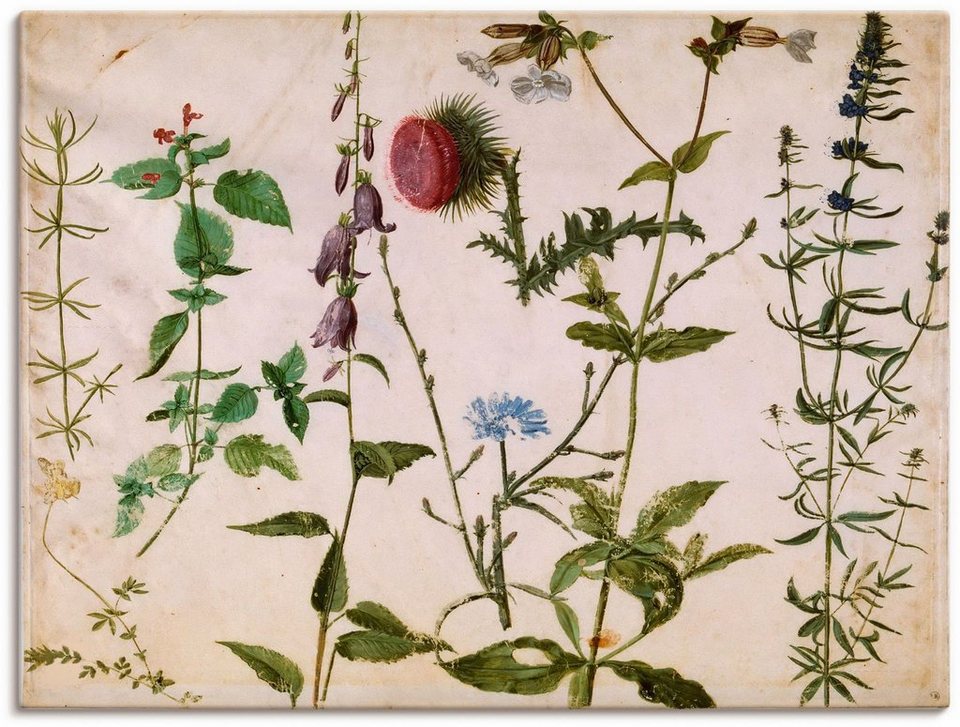 Artland Wandbild Acht Skizzen von Wildblumen., Blumenbilder (1 St), als  Alubild, Leinwandbild, Wandaufkleber oder Poster in versch. Größen
