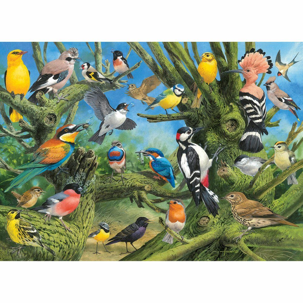 Gartenvögel Puzzleteile 1000 EUROGRAPHICS Joahn Francis, von Puzzle