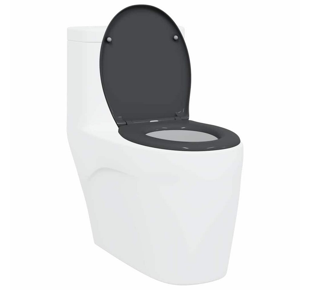 Thumbnail - vidaXL WC-Sitz Schnellverschluss-WC-Sitz Anthrazit 44,8 x 37,3 x 4,2 cm (1-St)