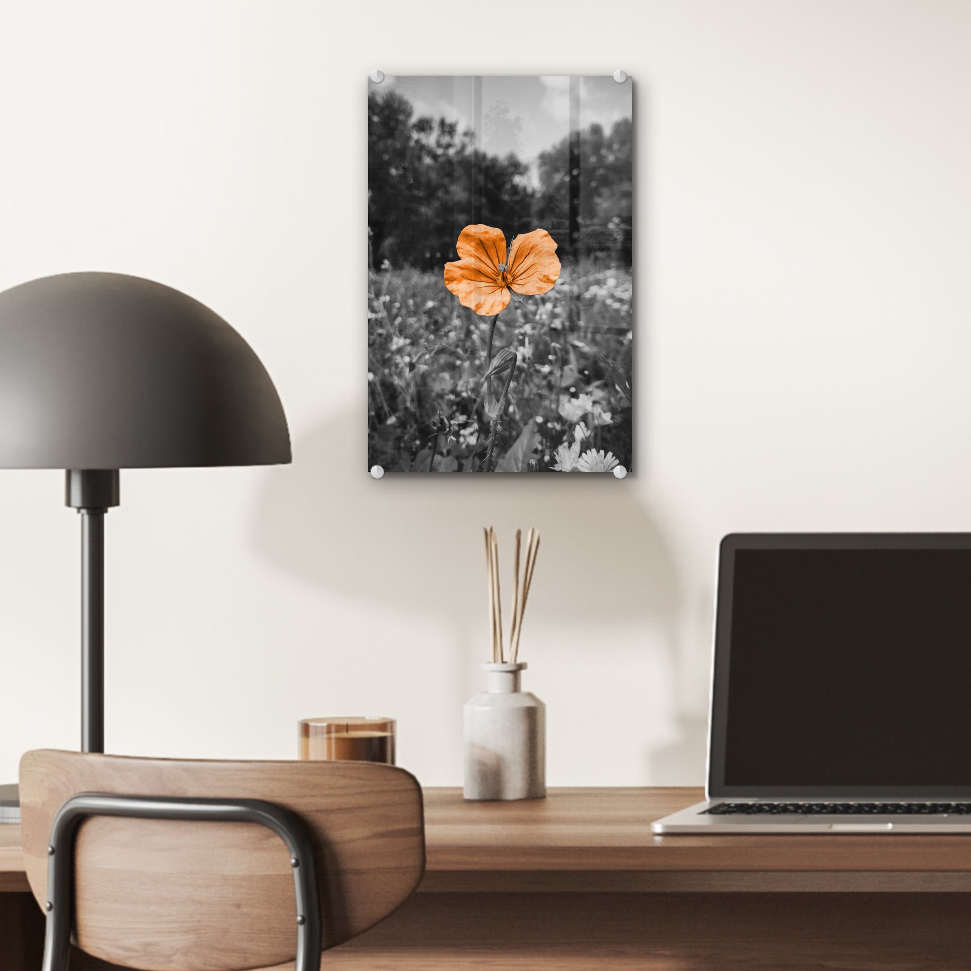 MuchoWow Acrylglasbild Blumen Bilder Weiß - - Orange, Schwarz Glasbilder Glas Wandbild - auf Glas St), (1 auf Foto Wanddekoration - - 