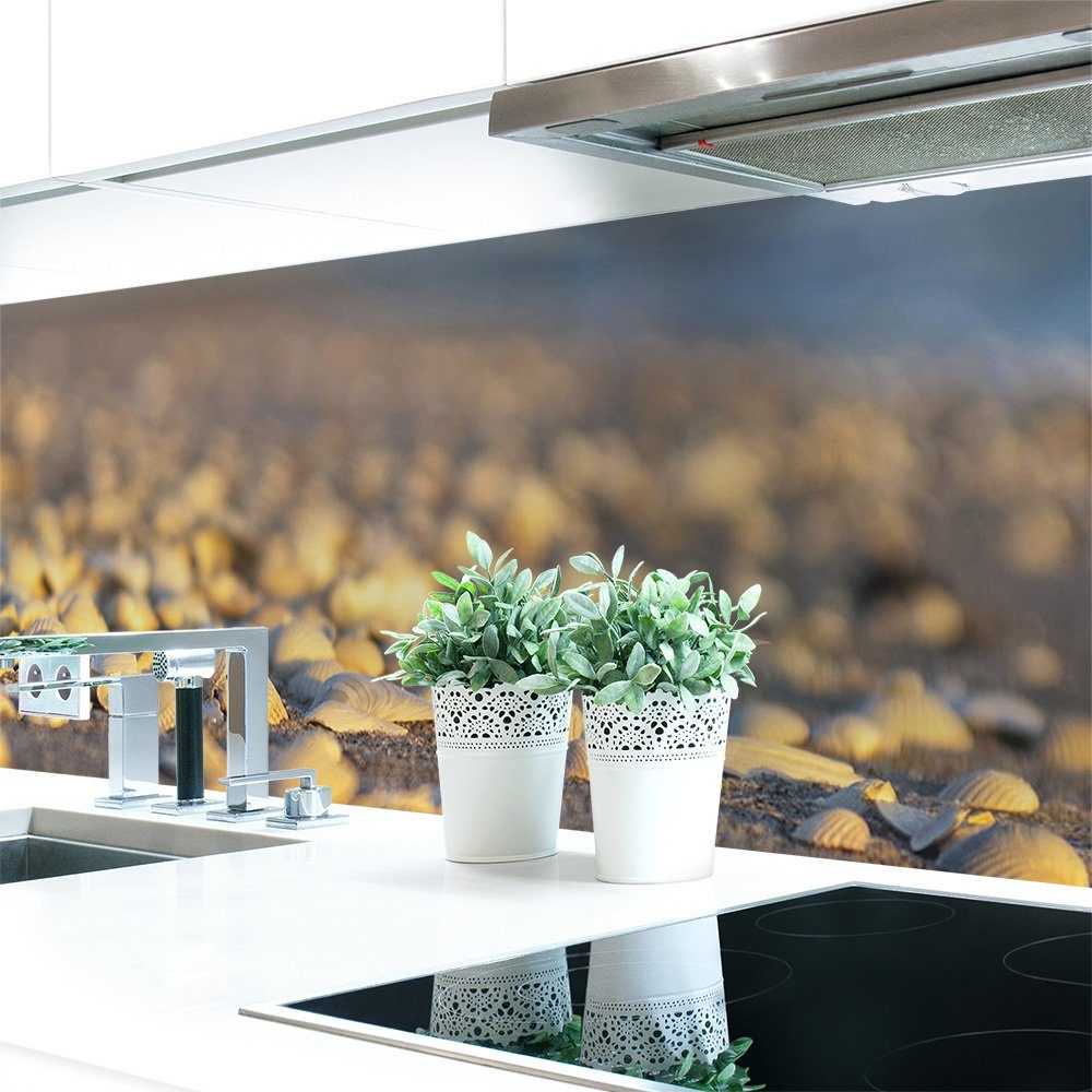 DRUCK-EXPERT Küchenrückwand Küchenrückwand Muschel Strand Premium Hart-PVC 0,4 mm selbstklebend