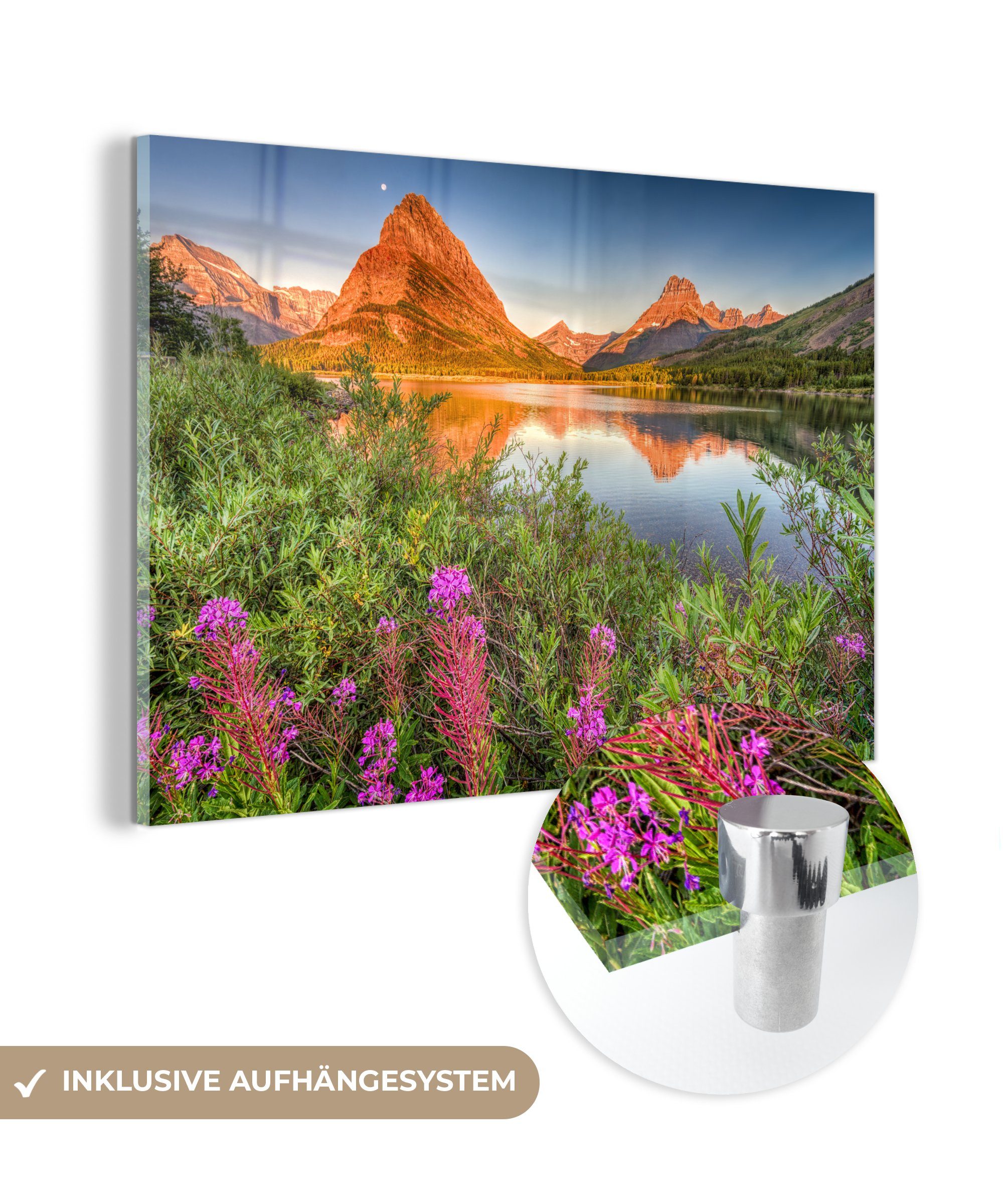 MuchoWow Acrylglasbild Lila Blumen im Glacier National Park, (1 St), Acrylglasbilder Wohnzimmer & Schlafzimmer | Bilder