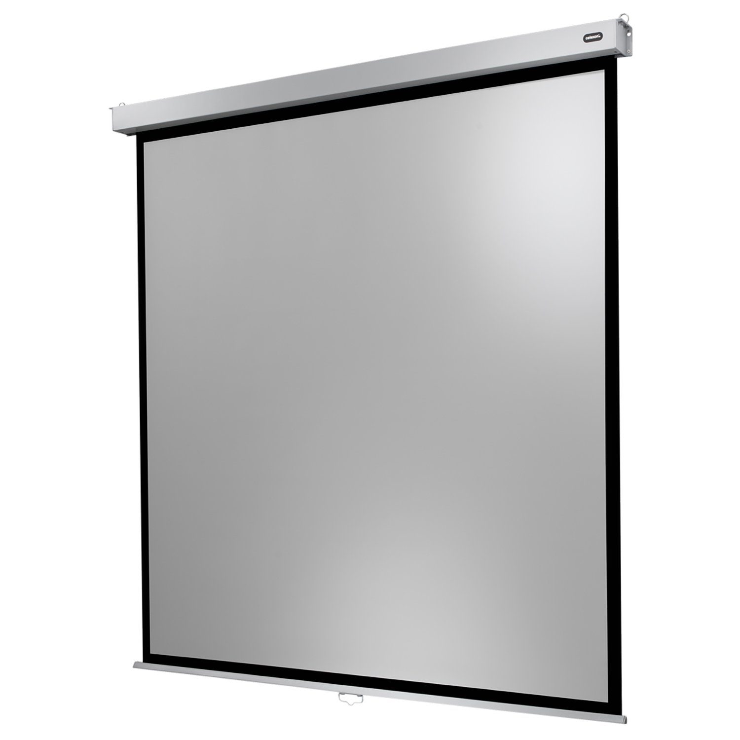Celexon Professional Plus Rolloleinwand (black_backside)