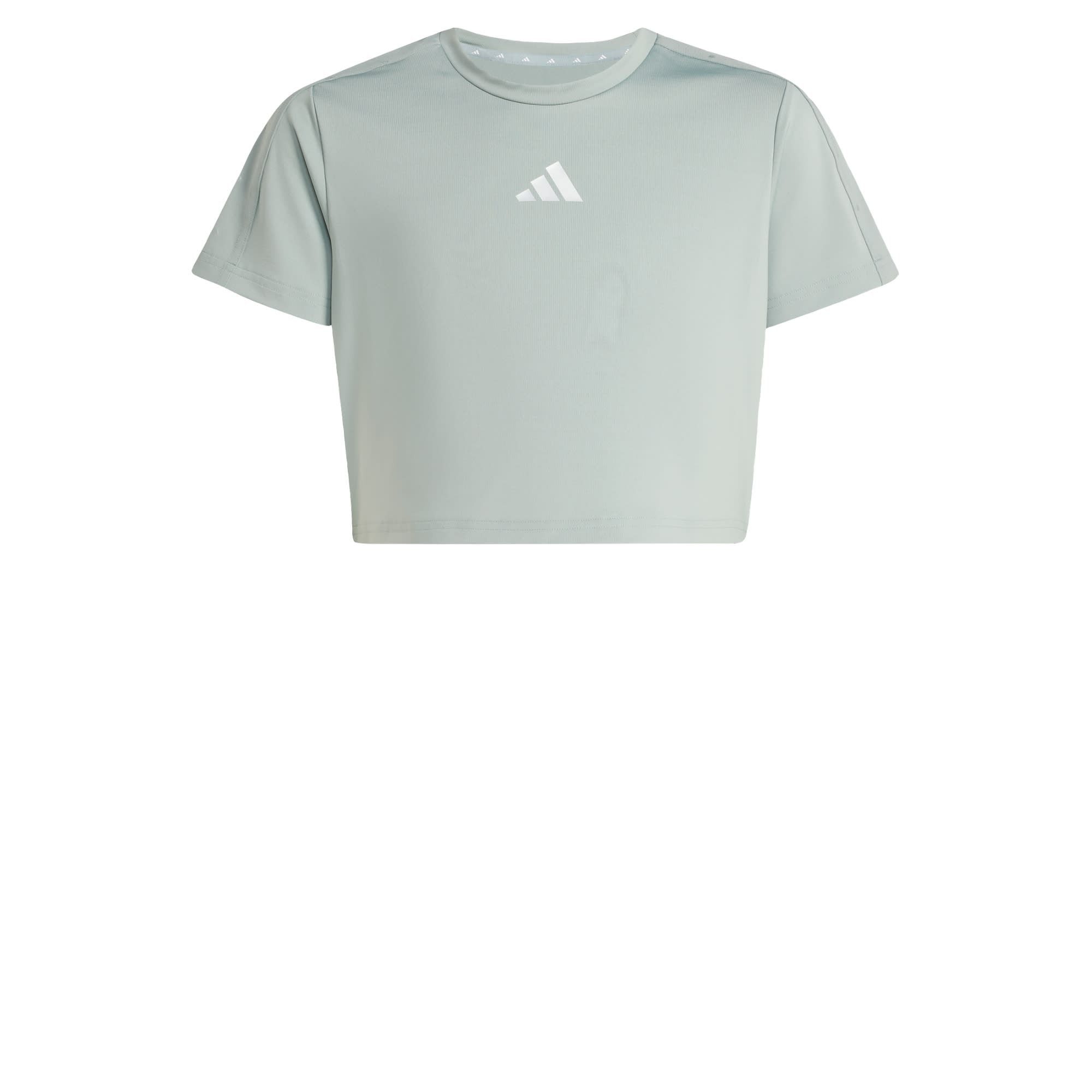 T-Shirt TRAIN ESSENTIALS SEASONAL PRINT T-SHIRT