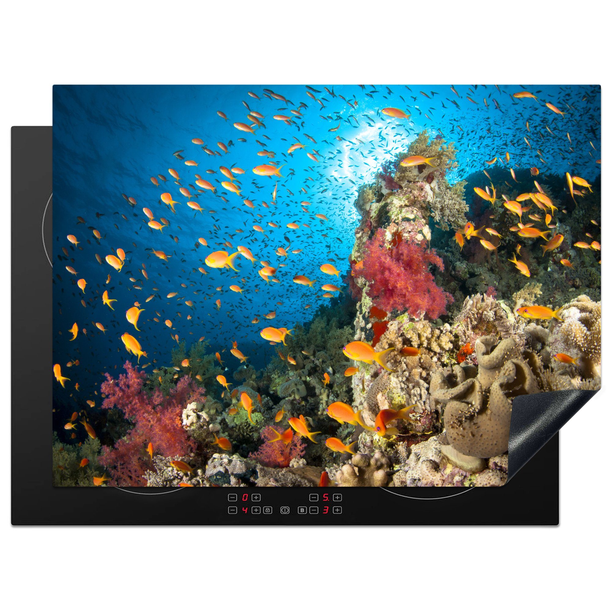 MuchoWow Herdblende-/Abdeckplatte Buntes Korallenriff, umgeben von Fischen, Vinyl, (1 tlg), 70x52 cm, Mobile Arbeitsfläche nutzbar, Ceranfeldabdeckung