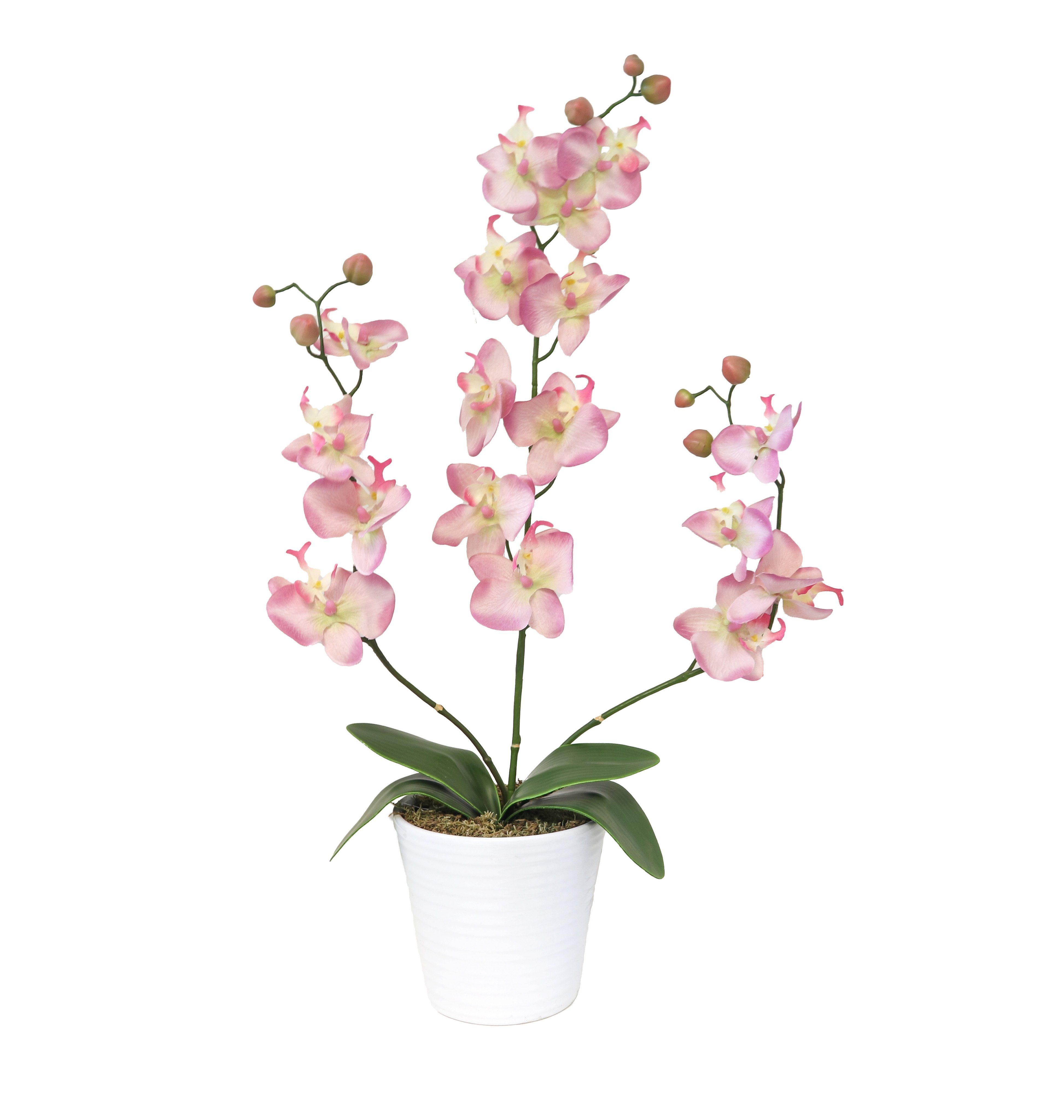 Orchidee Orchidee, Kunstorchidee künstliche künstlich cm, PassionMade, im 65 orchideentopf Höhe orchideen Topf kunstblumen 699