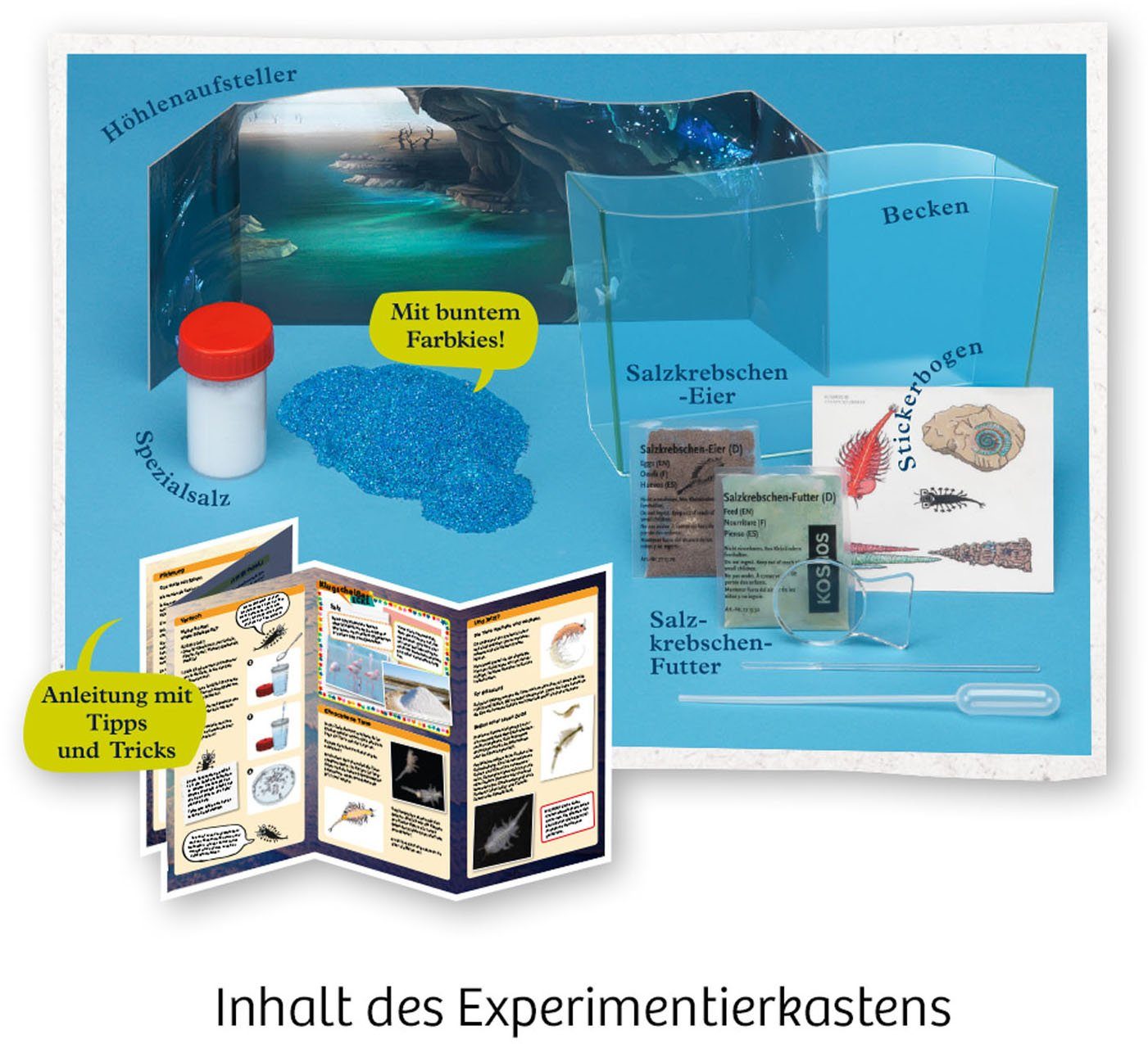 Kosmos Experimentierkasten Fun Science Wuselnde Salzkrebse, Made in Germany – Bild 3 von 5