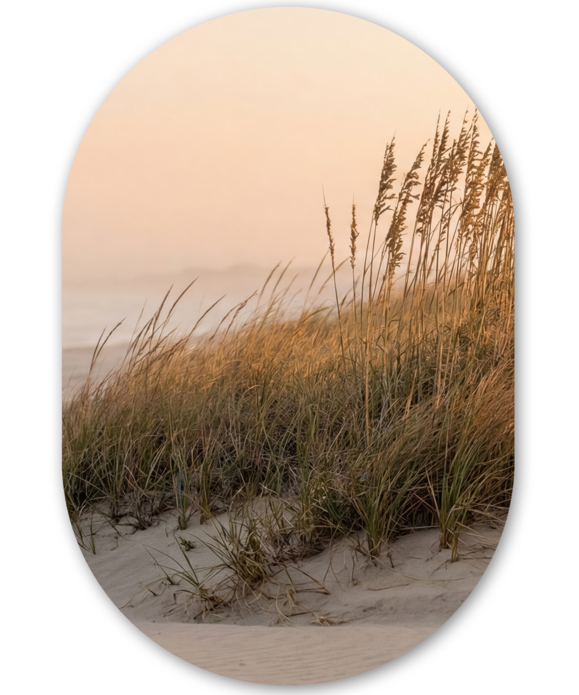 MuchoWow Gemälde Dünenlandschaft - Sonnenuntergang - Strand, Fotodruck (1 St), Wandbild Oval, Wohnzimmer oder Schlafzimmer Wanddekoration, 40x60 cm