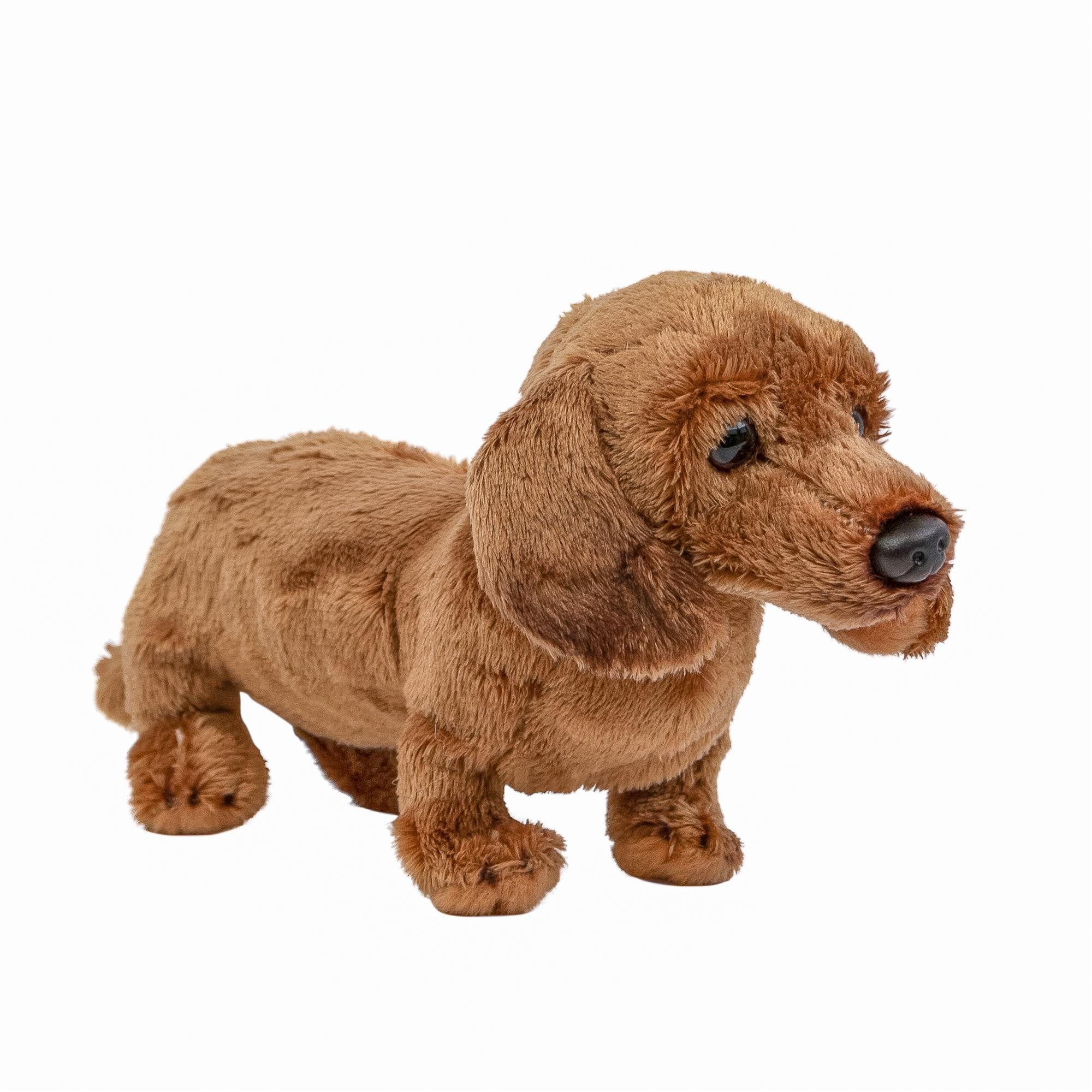 Teddys Rothenburg Kuscheltier Hund Dackel 19 cm hellbraun Plüschhund Stoffdackel (Plüschtier, Stofftier, Stoffhund, Plüschdackel)