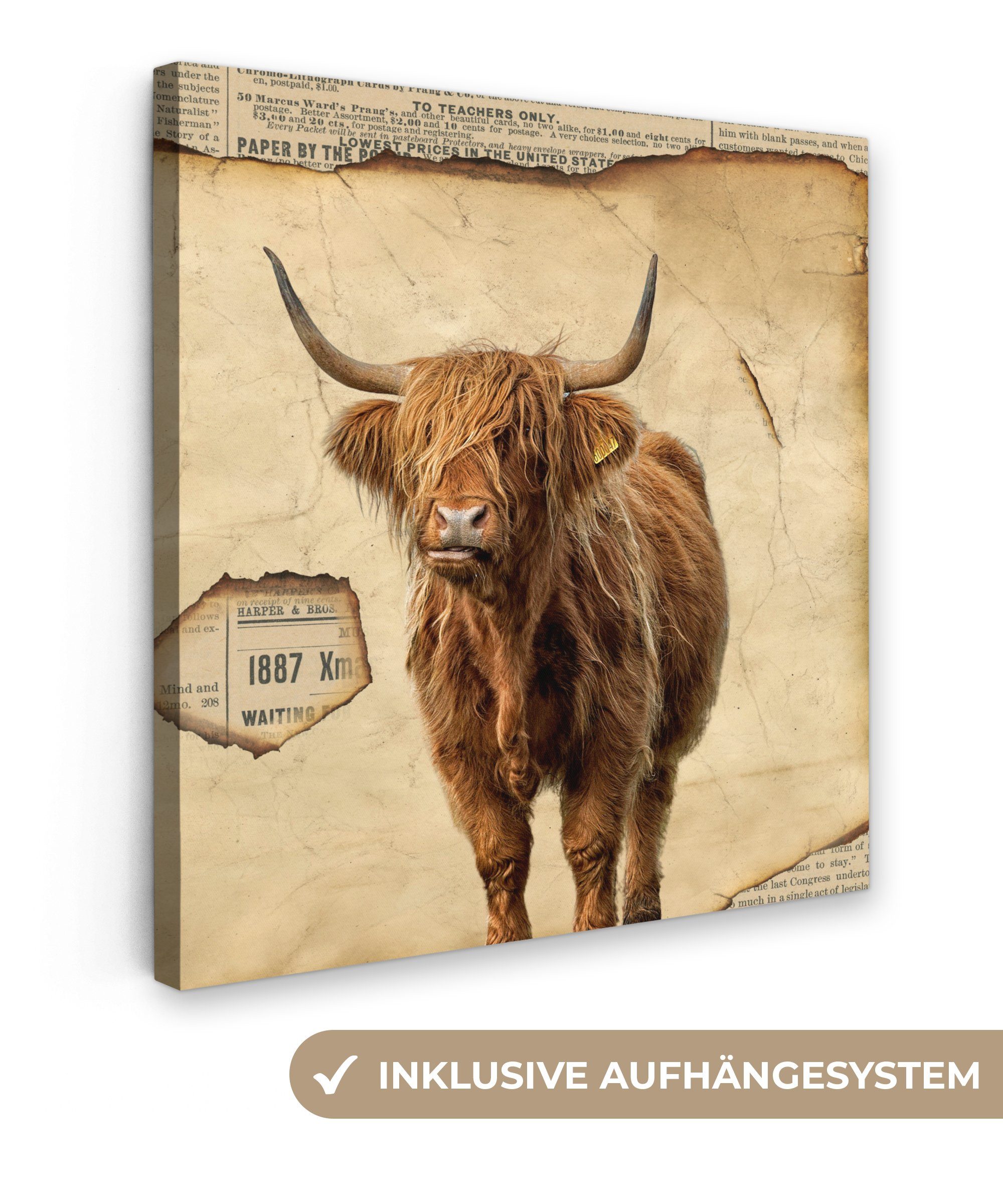 OneMillionCanvasses® Leinwandbild Schottischer Highlander - Vintage - Kuh, (1 St), Leinwand Bilder für Wohnzimmer Schlafzimmer, 20x20 cm