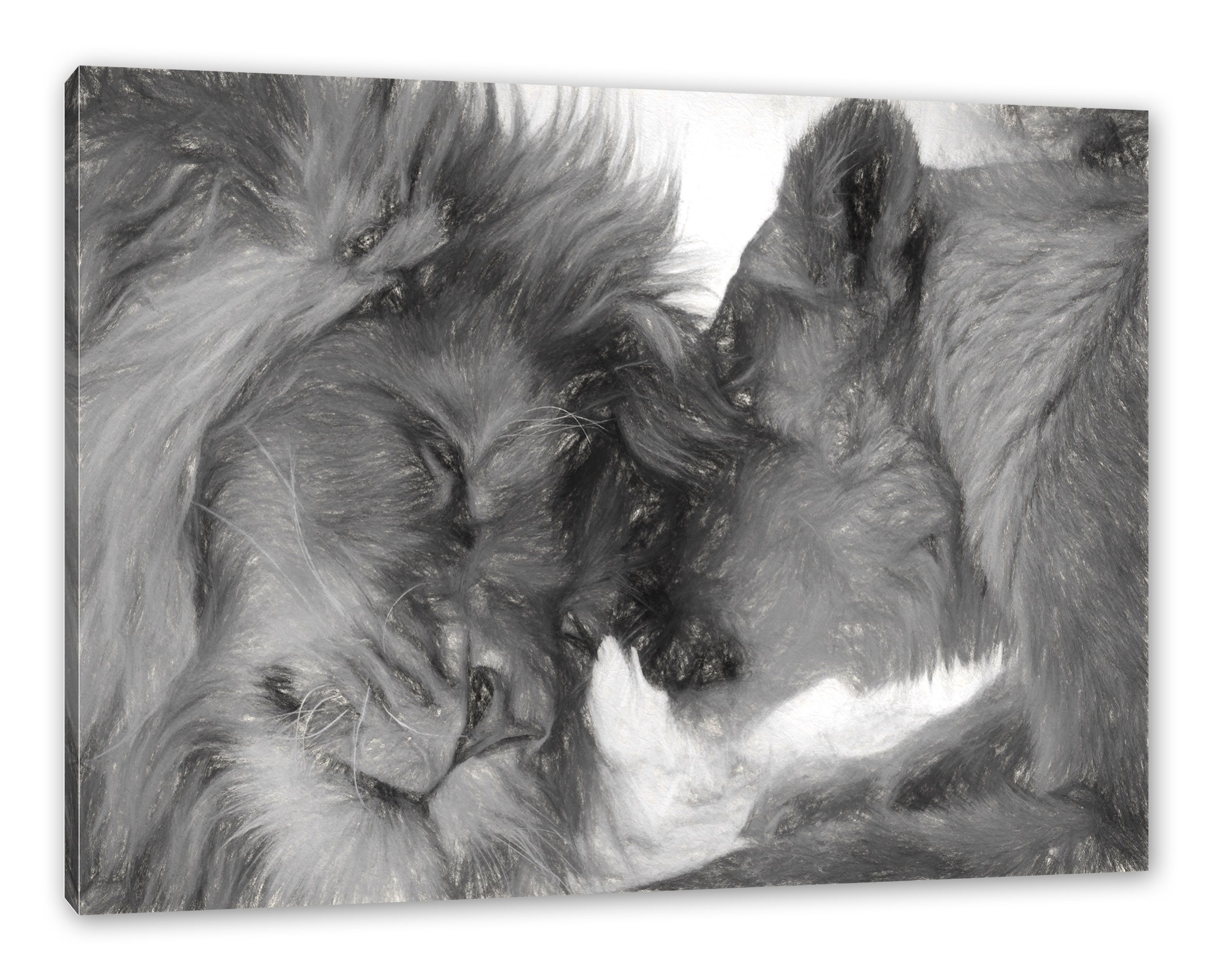 Pixxprint Leinwandbild Kuschelnde Löwen, Kuschelnde Löwen (1 St), Leinwandbild fertig bespannt, inkl. Zackenaufhänger