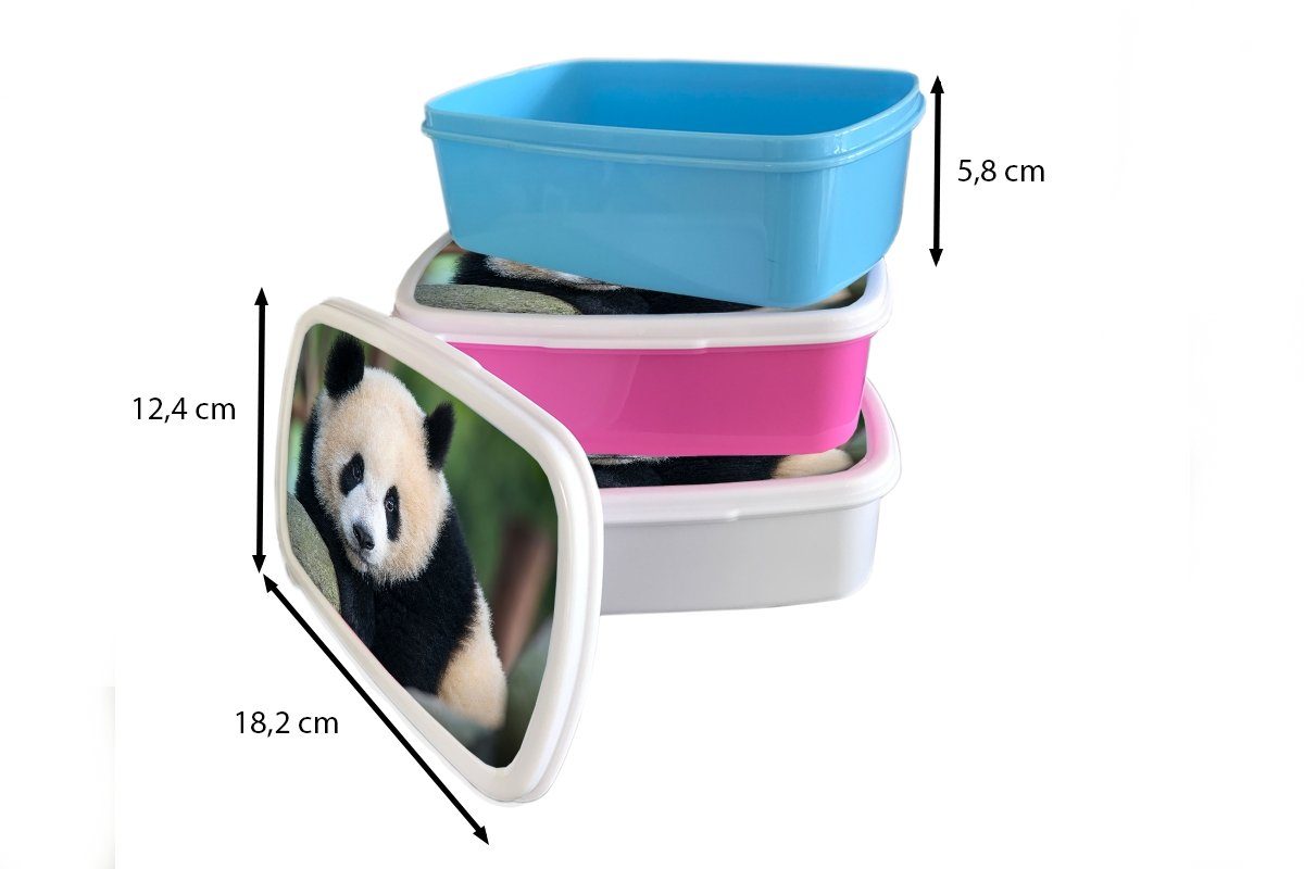 Erwachsene, Kinder, Panda Brotdose - Kunststoff, - MuchoWow Porträt Stein, (2-tlg), rosa - für Wildtiere Lunchbox Mädchen, Kunststoff Brotbox Snackbox,