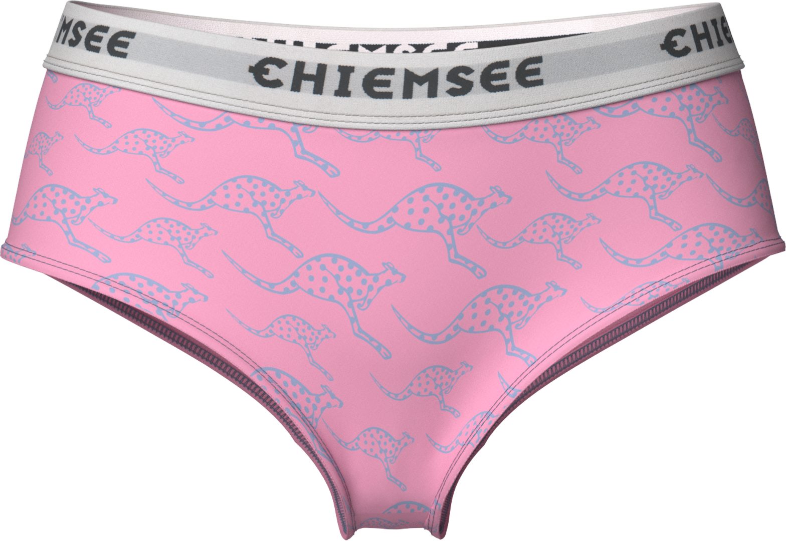Chiemsee Hipster Girls 2er Pack mit Kangaroo Print Trendige Unterwäsche für Mädchen – Bild 2 von 3