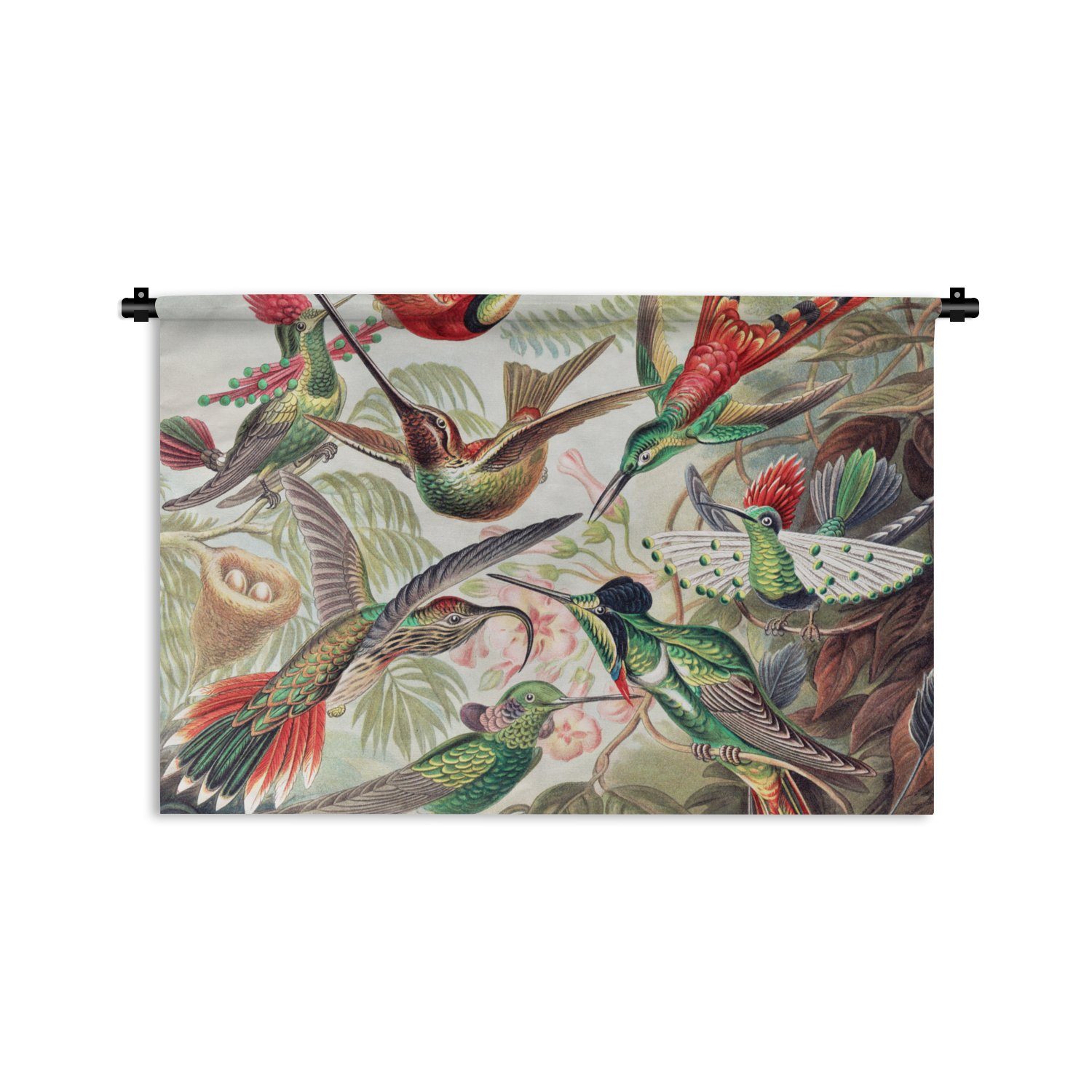 MuchoWow Wanddekoobjekt Kolibri - Vintage - Ernst Haeckel - Vogel - Kunst - Natur, Wanddeko für Wohnzimmer, Schlafzimmer, Kleid, Wandbehang, Kinderzimmer | Wandobjekte