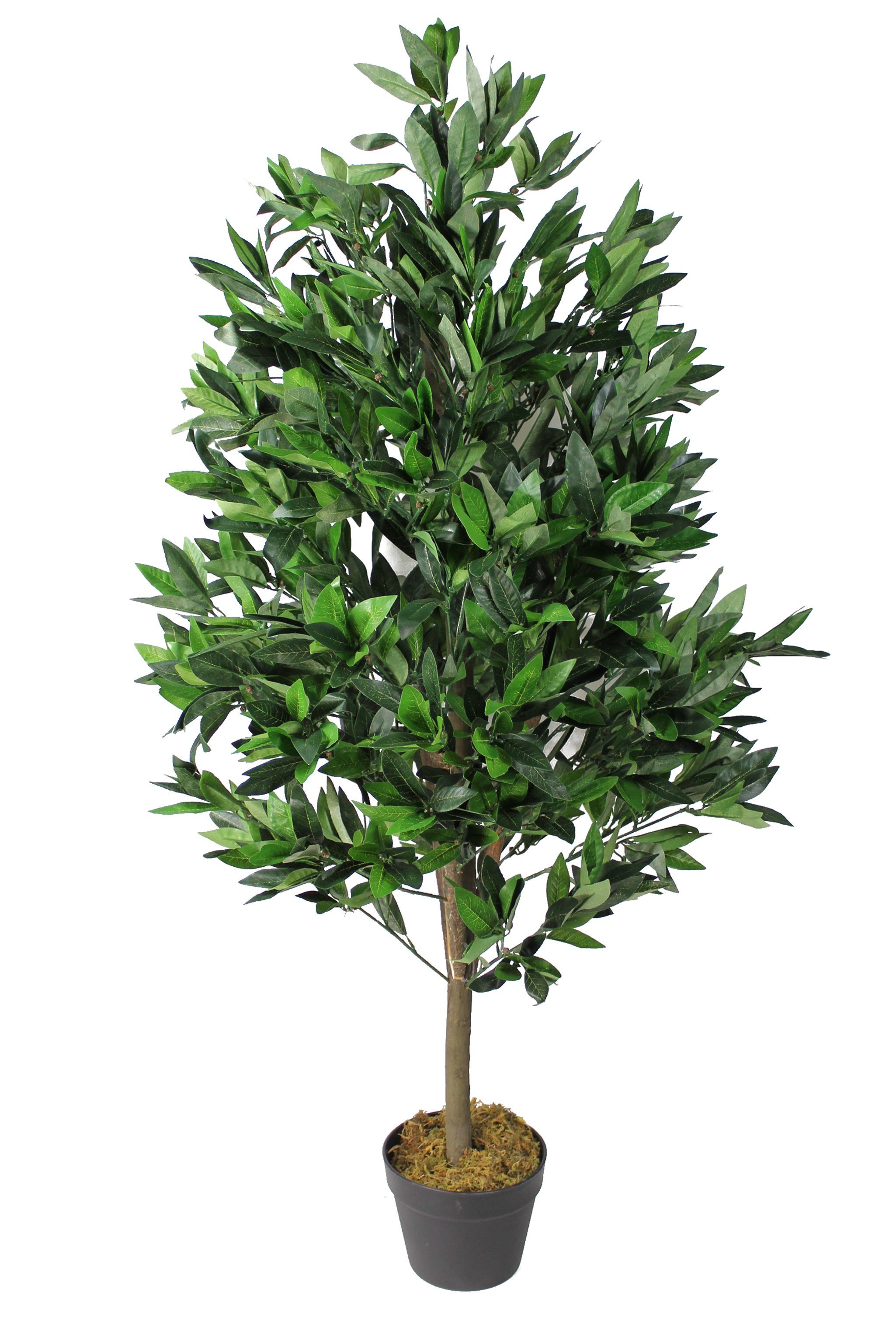 Blätter Echtholzstamm Höhe im künstliche echt 1521 fertig Kirschlorbeer, Kunstpflanze schweren Pflanze Arnusa, wie Topf 120 Kirschlorbeer künstlicher cm,