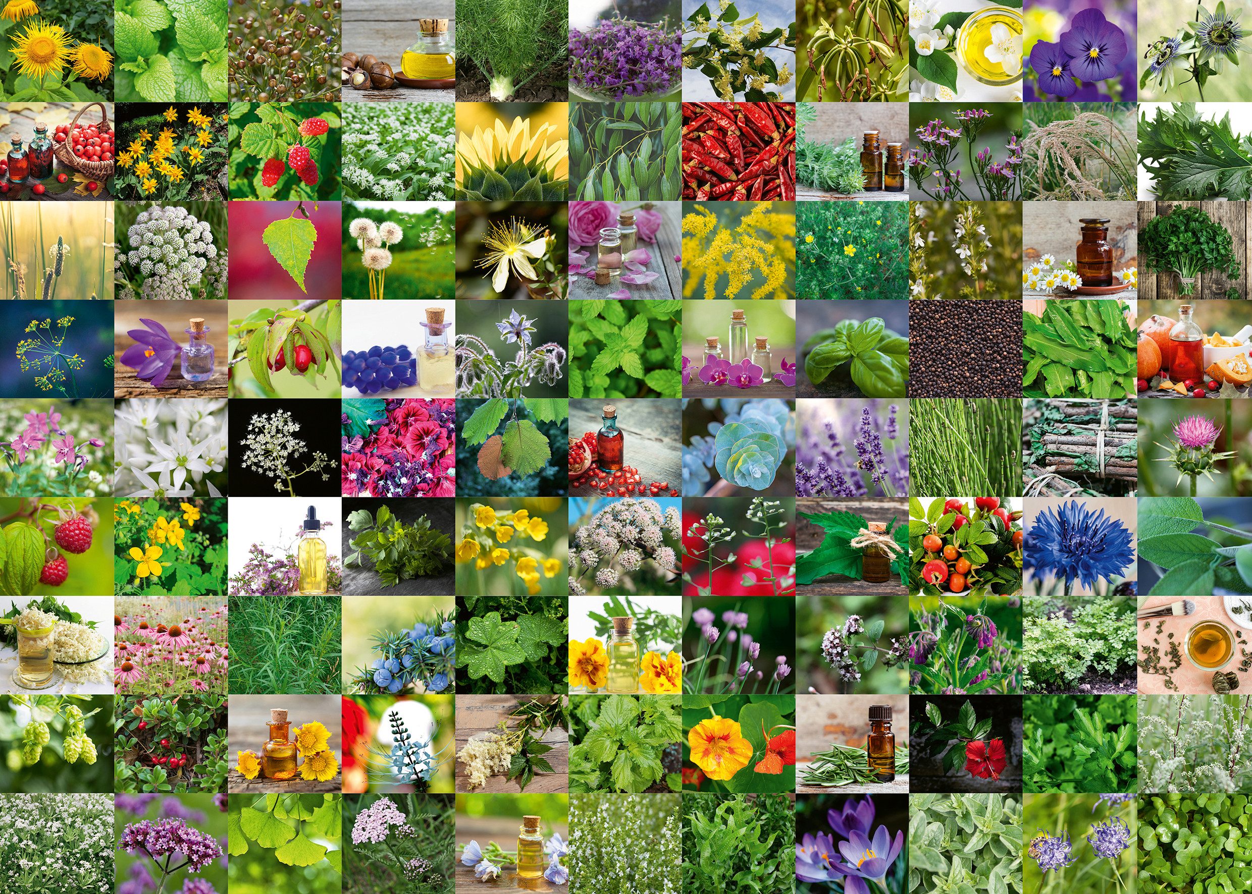 Ravensburger Puzzle 99 Kräuter und Gewürze, 1000 Puzzleteile, Made in Germa günstig online kaufen