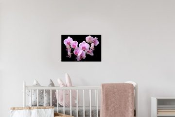 MuchoWow Wandsticker Orchidee - Blumen - Rosa - Flora (1 St), Wandaufkleber, Wandtattoo, Selbstklebend, Wohnzimmer, Schlafzimmer