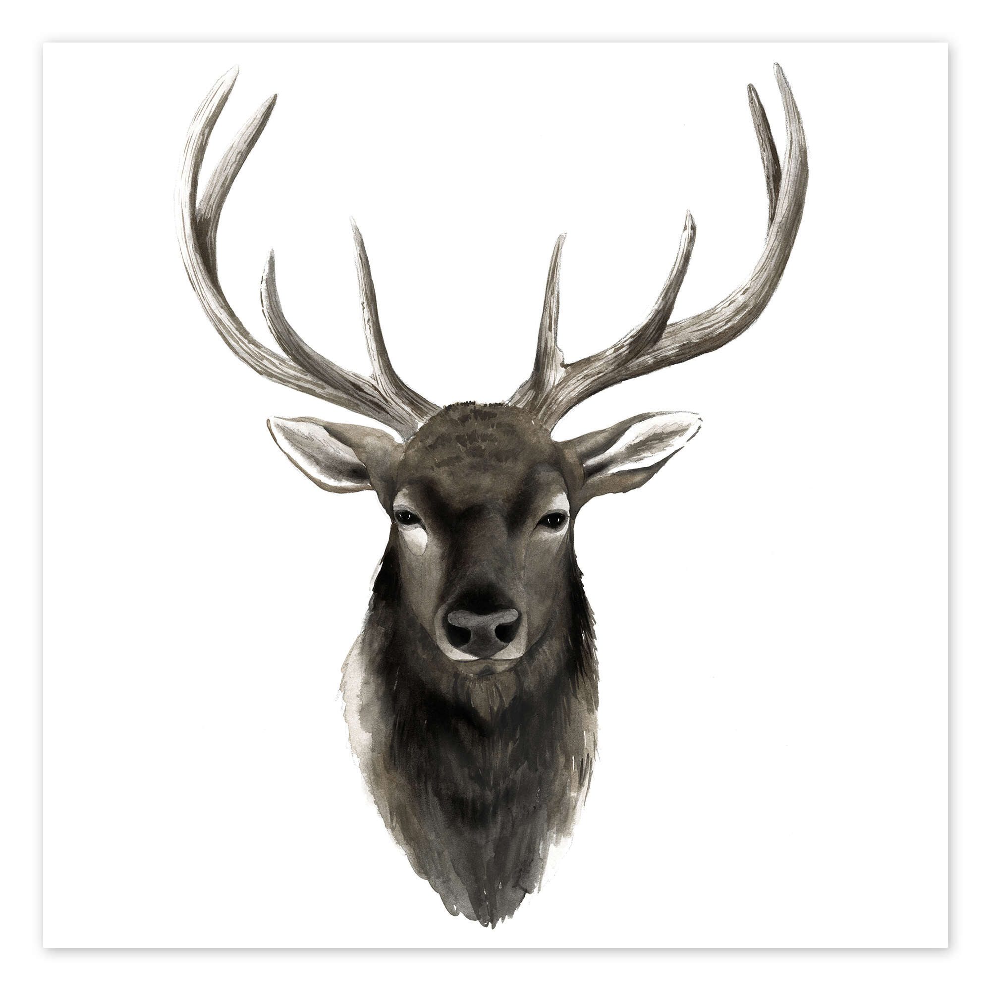 Posterlounge Wandbild Hirsch Porträt, Grace Popp, erhältlich als Poster, Leinwandbild, Wandsticker oder Acrylglasbild