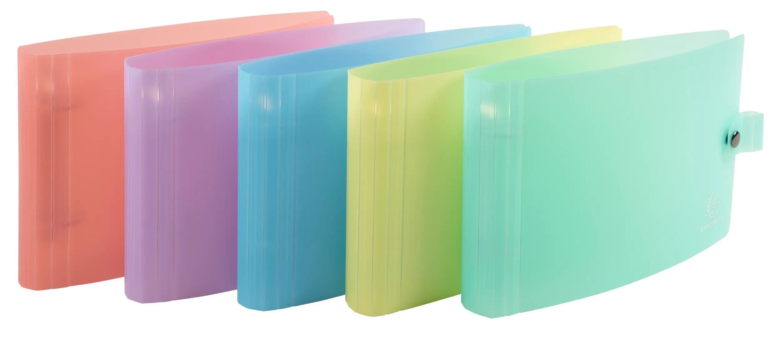 EXACOMPTA Ringbuchmappe 10x Ringbuch PP 2Ring für Karteikarten A5 125x200mm sortiert 52170E, PP Ringbücher