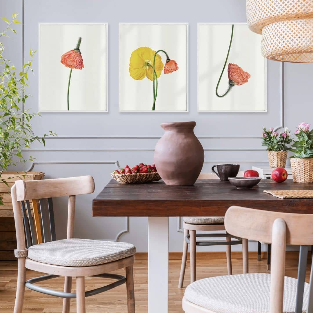 K&L Wall Art Poster Poster + Bilderrahmen Wohnzimmer 3er Collage modern Set, Wandbild Botanik Mohnblume