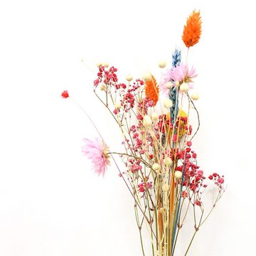 FlowerBar by Trockenblumen-Manufaktur Schlüsselbrett FlowerBar Keys “BLUMENWIESE” mit Wandhalterung
