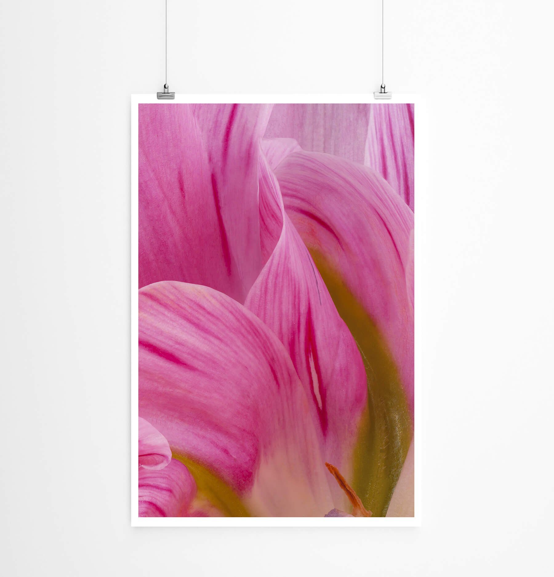Sinus Art Poster 60x90cm Poster Naturfotografie  Magenta Traum