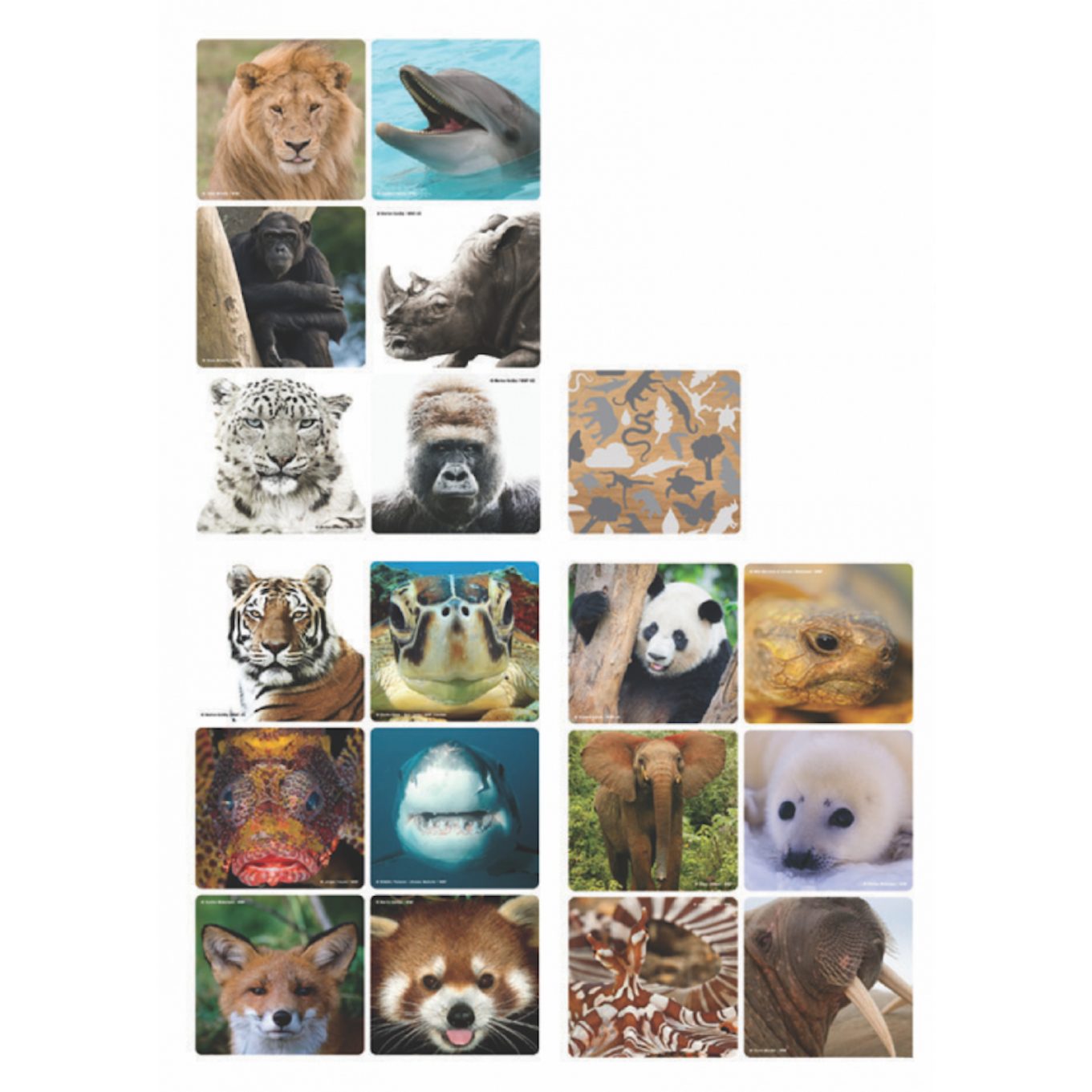 WWF Spiel WWF Memo-Spiel "Selfies", Wissenspiel