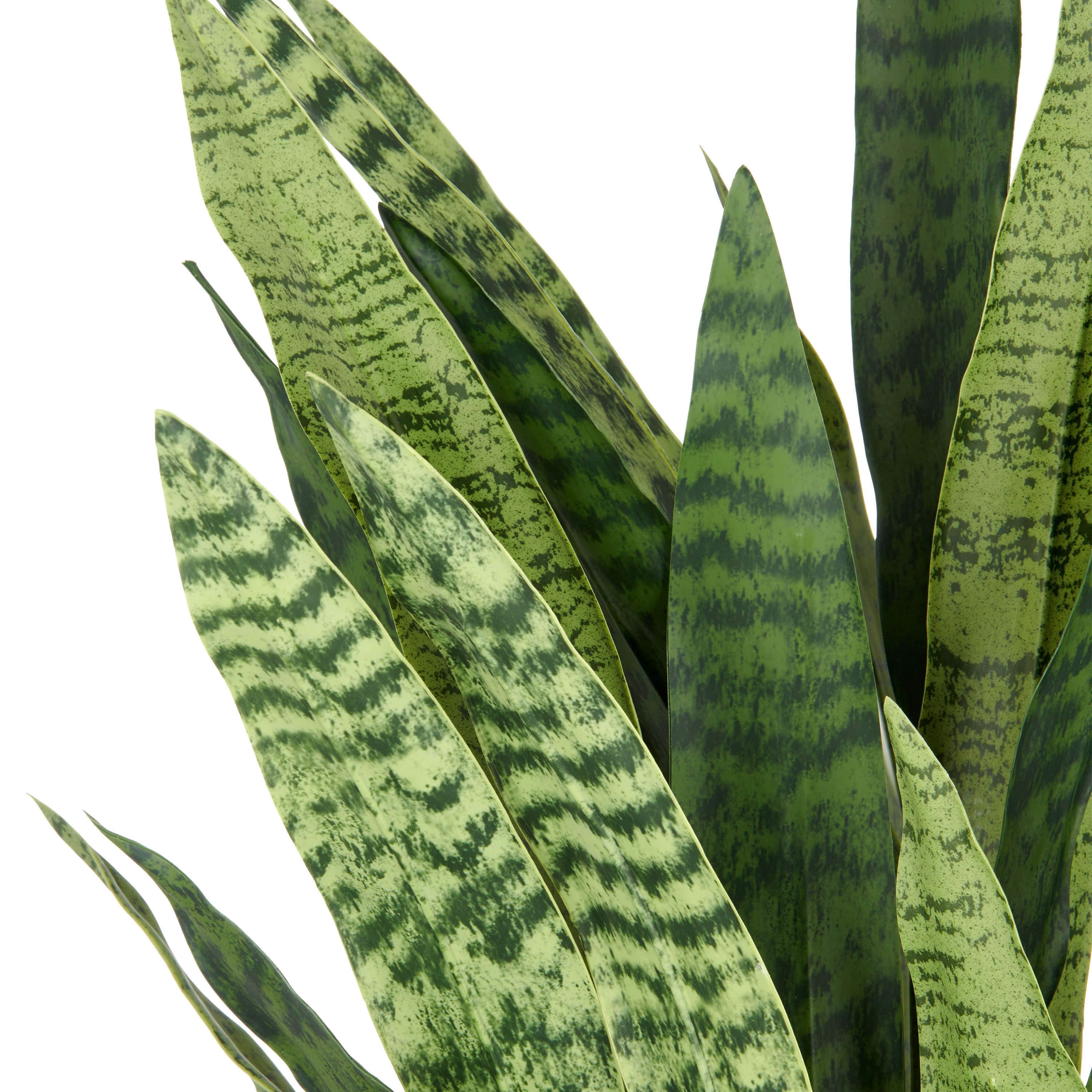 Kunstpflanze Sansevieria zeylanica, Creativ green, Höhe günstig online kaufen