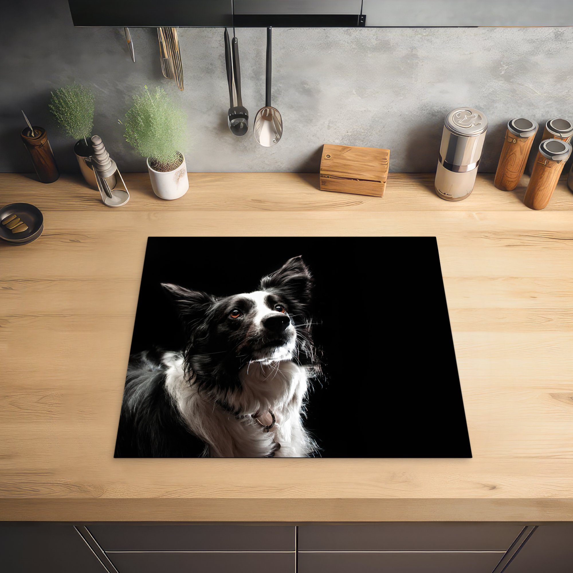 Border Induktionsmatte schwarzem (1 die tlg), Ceranfeldabdeckung Collie Hintergrund, cm, für Herdblende-/Abdeckplatte MuchoWow auf küche, 59x52 Vinyl,