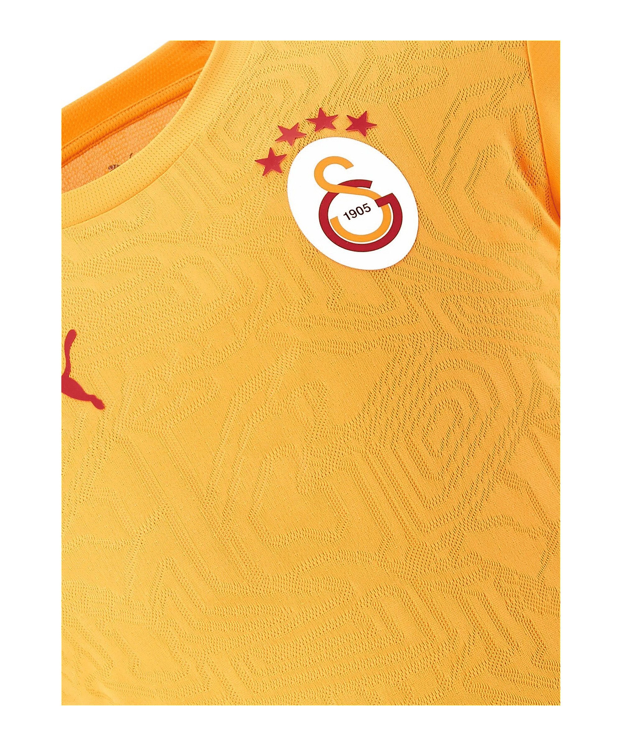 PUMA T-Shirt PUMA Galatasaray Istanbul Training T-Shirt Polyester