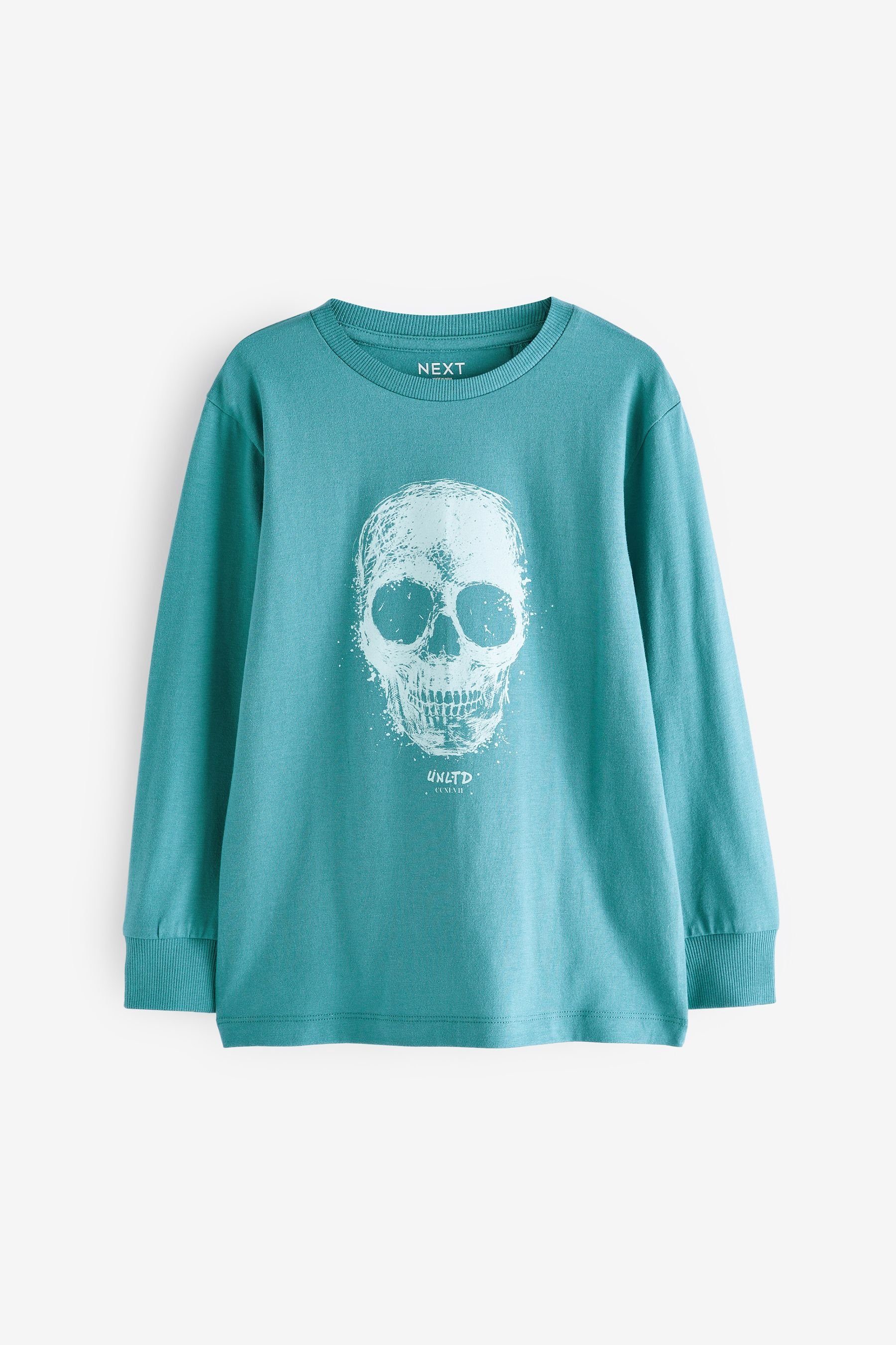 Next Langarmshirt Langärmeliges Grafik-T-Shirt (1-tlg) Blue Skull