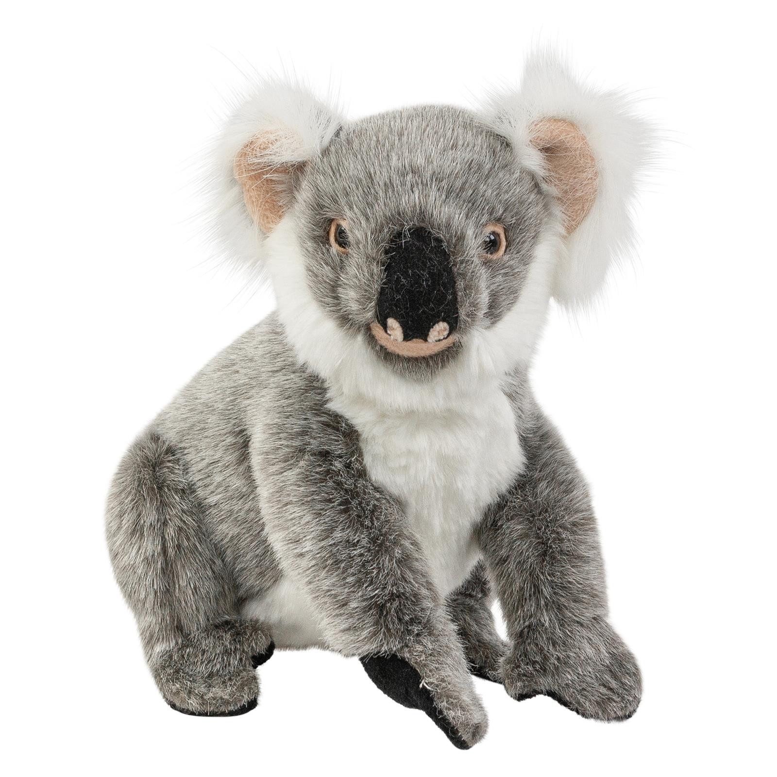 Teddys Rothenburg Kuscheltier Koalabär 25 cm sitzend grau Plüschkoala Stofftier (Plüschtier, Stoffkoala, Koala, Plüschkoalabär, Stoffkoalabär)