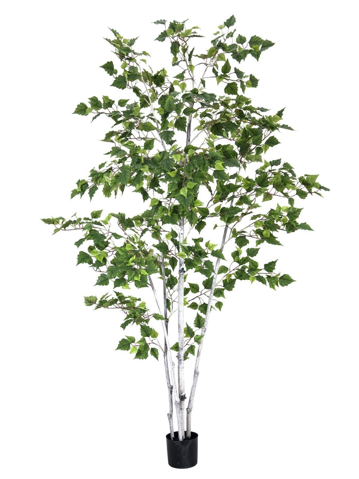 Kunstpflanze Birkenbaum Birke, EUROPALMS, Höhe 150 cm, verschiedene Größen erhältlich