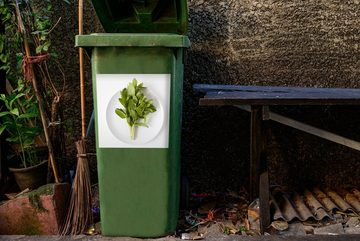 MuchoWow Wandsticker Ein Porzellanteller mit einer großen Münzpflanze (1 St), Mülleimer-aufkleber, Mülltonne, Sticker, Container, Abfalbehälter