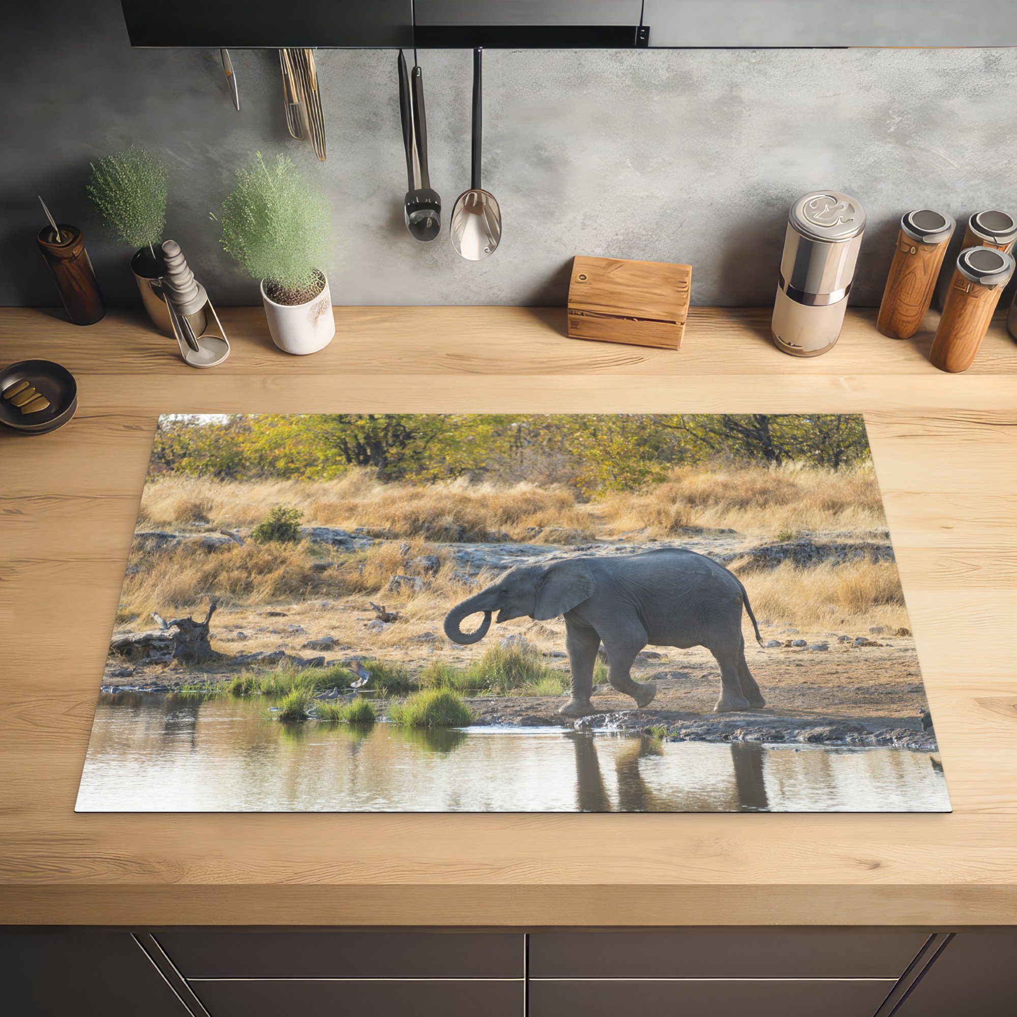 MuchoWow Herdblende-/Abdeckplatte Elefantenbaby Ceranfeldabdeckung einer 81x52 an küche, für Schutz Vinyl, cm, Wasserpfütze tlg), in (1 Namibia, die Induktionskochfeld