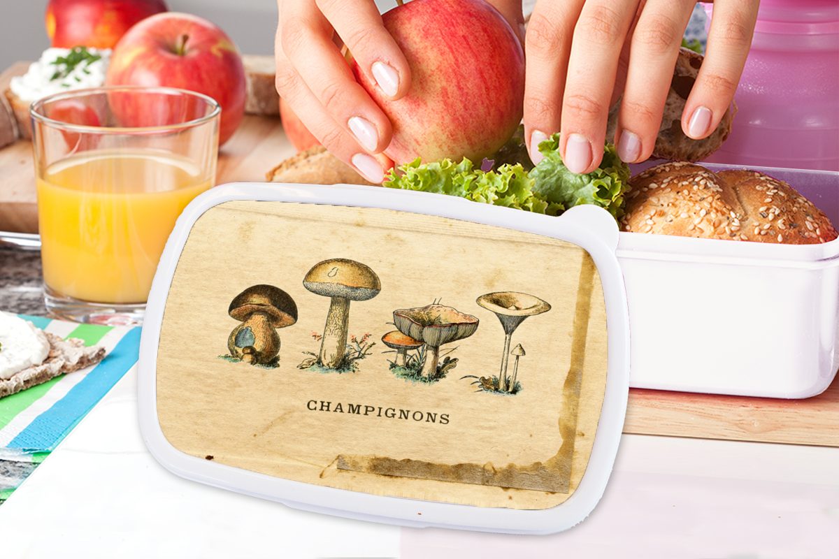 Pilz MuchoWow Kunststoff, Lunchbox Natur, - Erwachsene, und weiß Herbst und für Jungs - Kinder für (2-tlg), Brotdose, Brotbox Mädchen