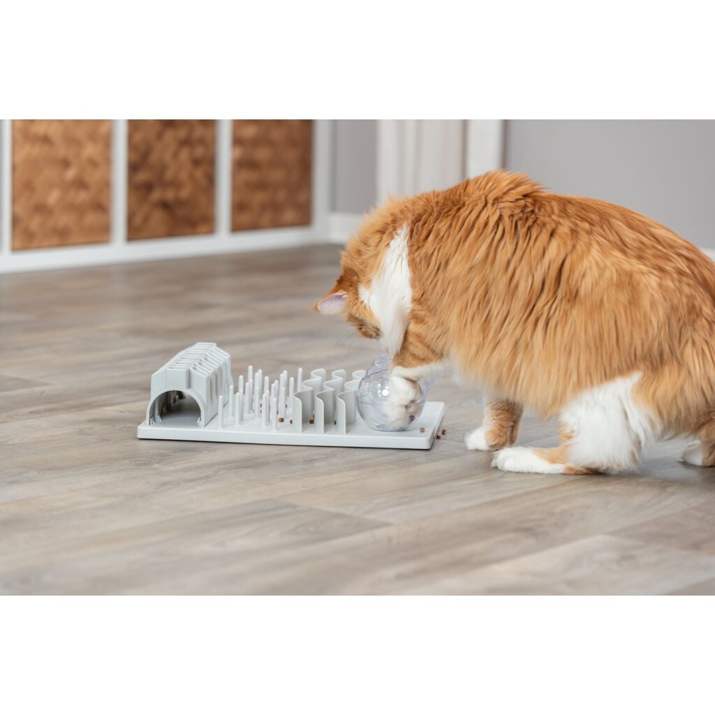 TRIXIE Tier-Intelligenzspielzeug Fun Board XXL - diverse - 30 × 40 cm, Kunststoff