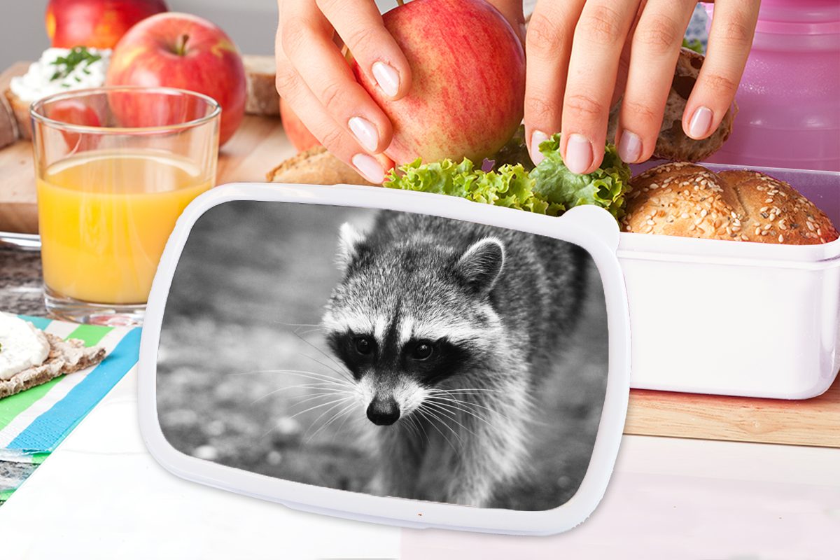 MuchoWow Kinder Lunchbox und Brotbox Kunststoff, Erwachsene, weiß für Mädchen (2-tlg), Brotdose, Waschbär und Jungs für auf Beutezug,