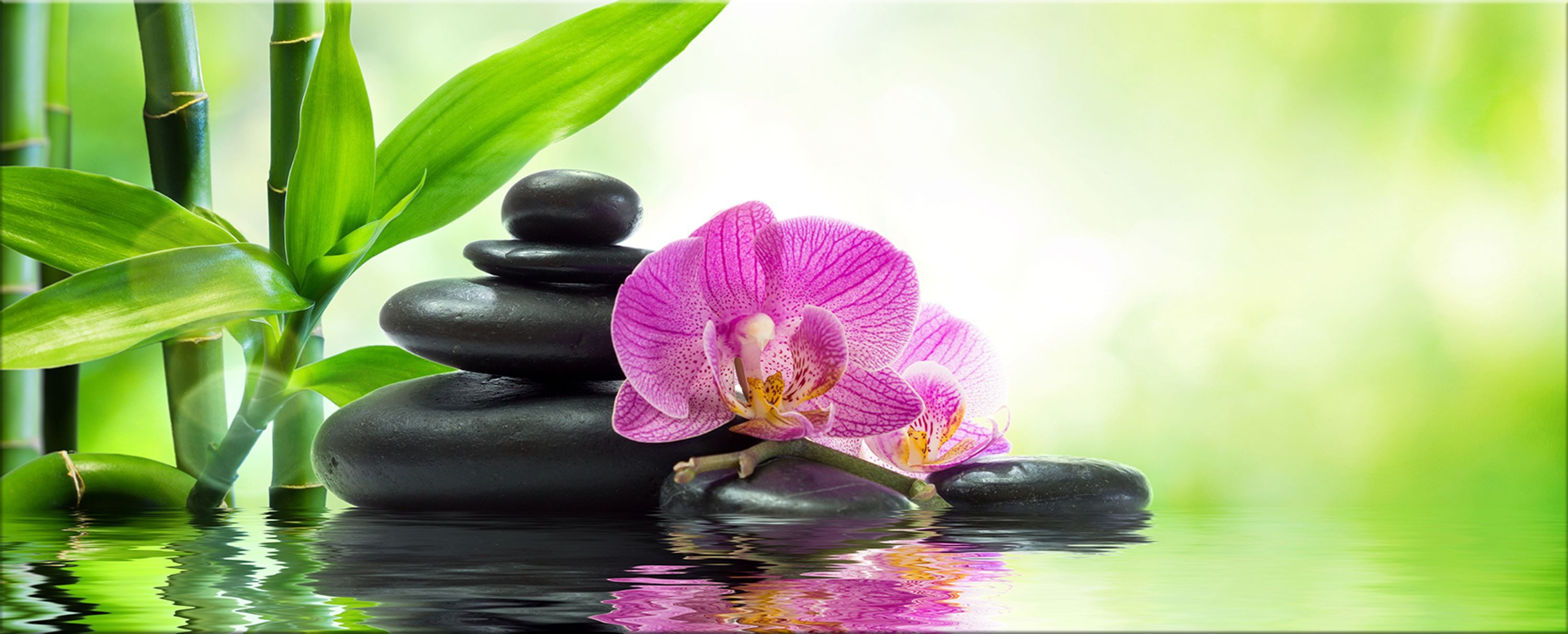 artissimo Glasbild XXL Bild aus Glas 125x50 cm / Panorama Wandbild groß / Wanddeko modern, Stillleben: Zen Orchidee in Pink und Grün