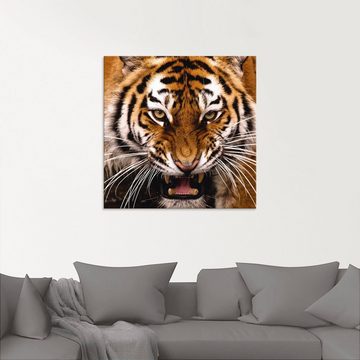 Artland Glasbild Tiger Kopf, Wildtiere (1 St), in verschiedenen Größen
